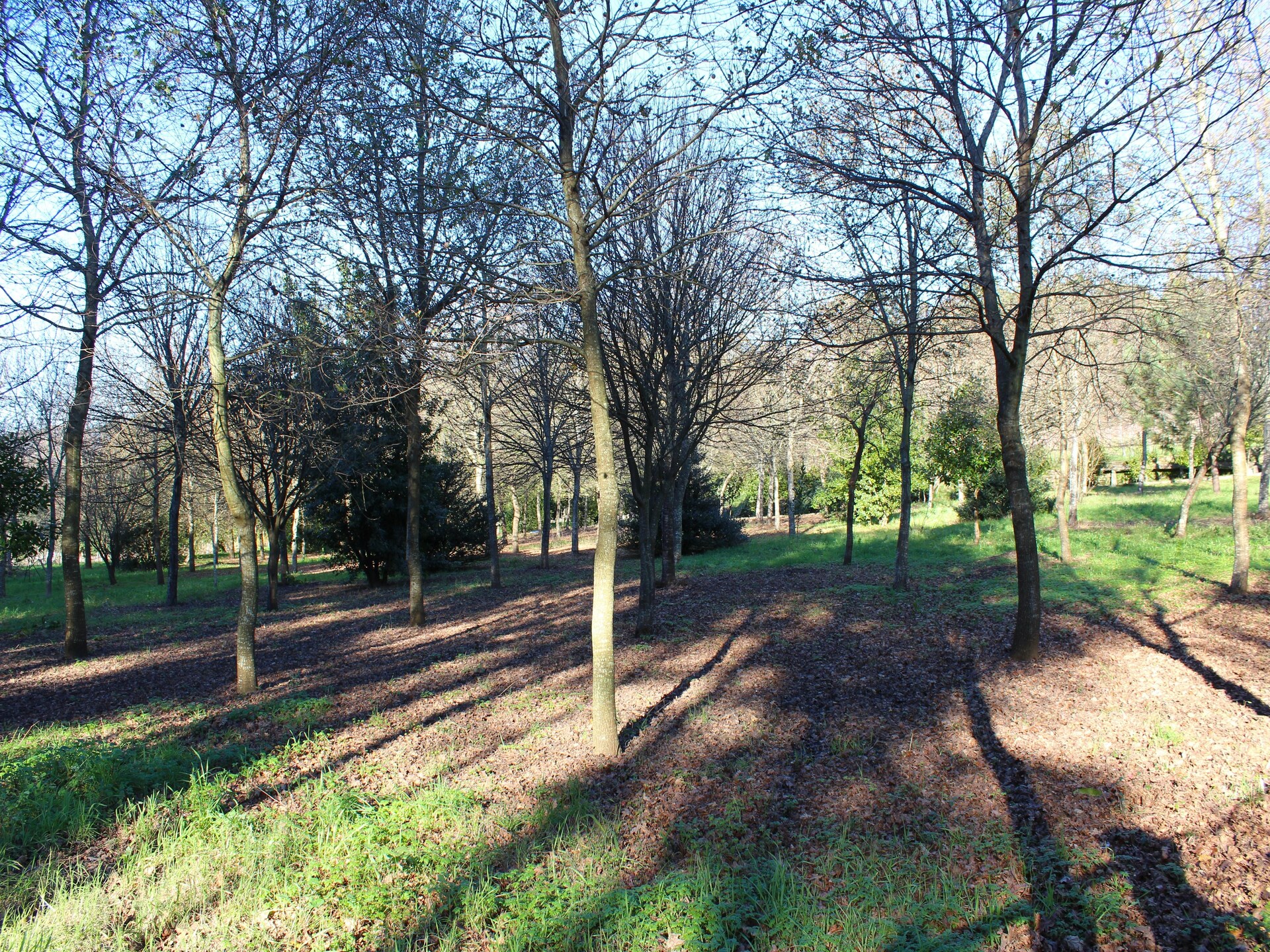 Casa do Pelourinho: Vrijstaand landhuis in het bos van Ponte de Lima - foto 29