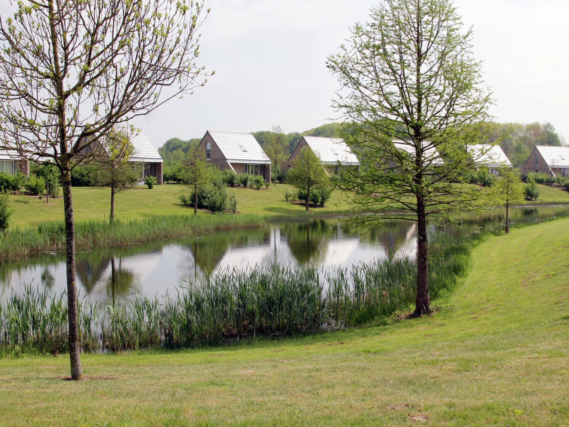 Venwoning aan het water: natuurlijk genieten voor 6 personen in Heel - foto 19