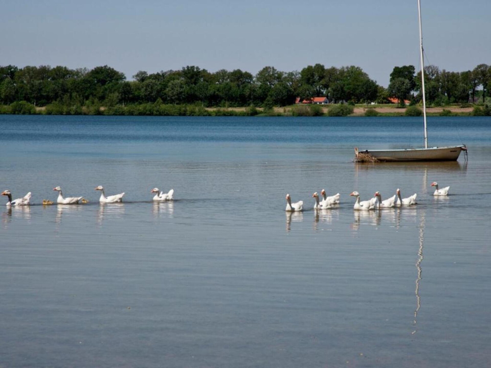 Venwoning aan het water: natuurlijk genieten voor 6 personen in Heel - foto 31