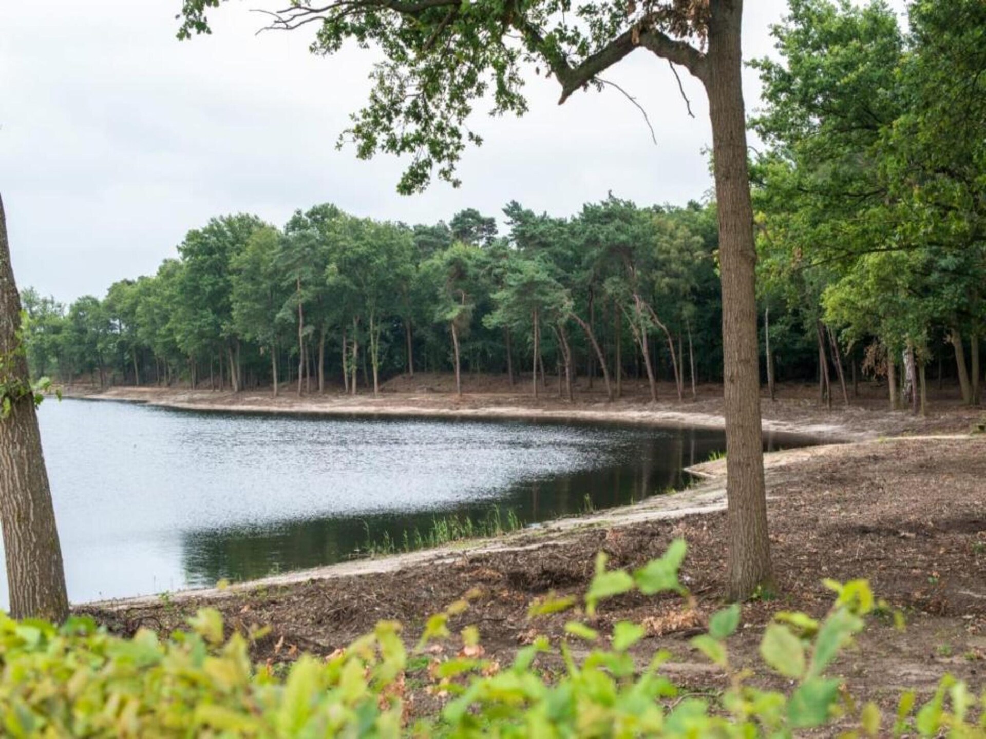 Venwoning aan het water: natuurlijk genieten voor 6 personen in Heel - foto 32
