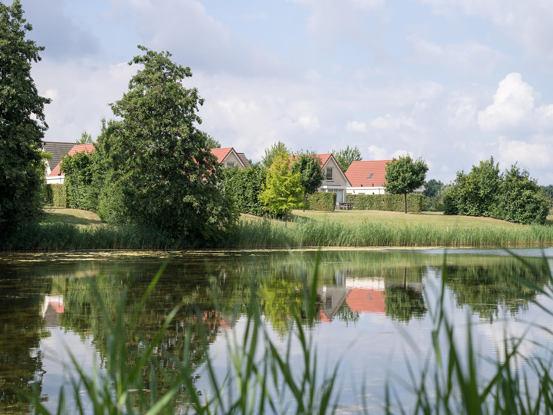 Venwoning aan het water: natuurlijk genieten voor 6 personen in Heel - foto 10