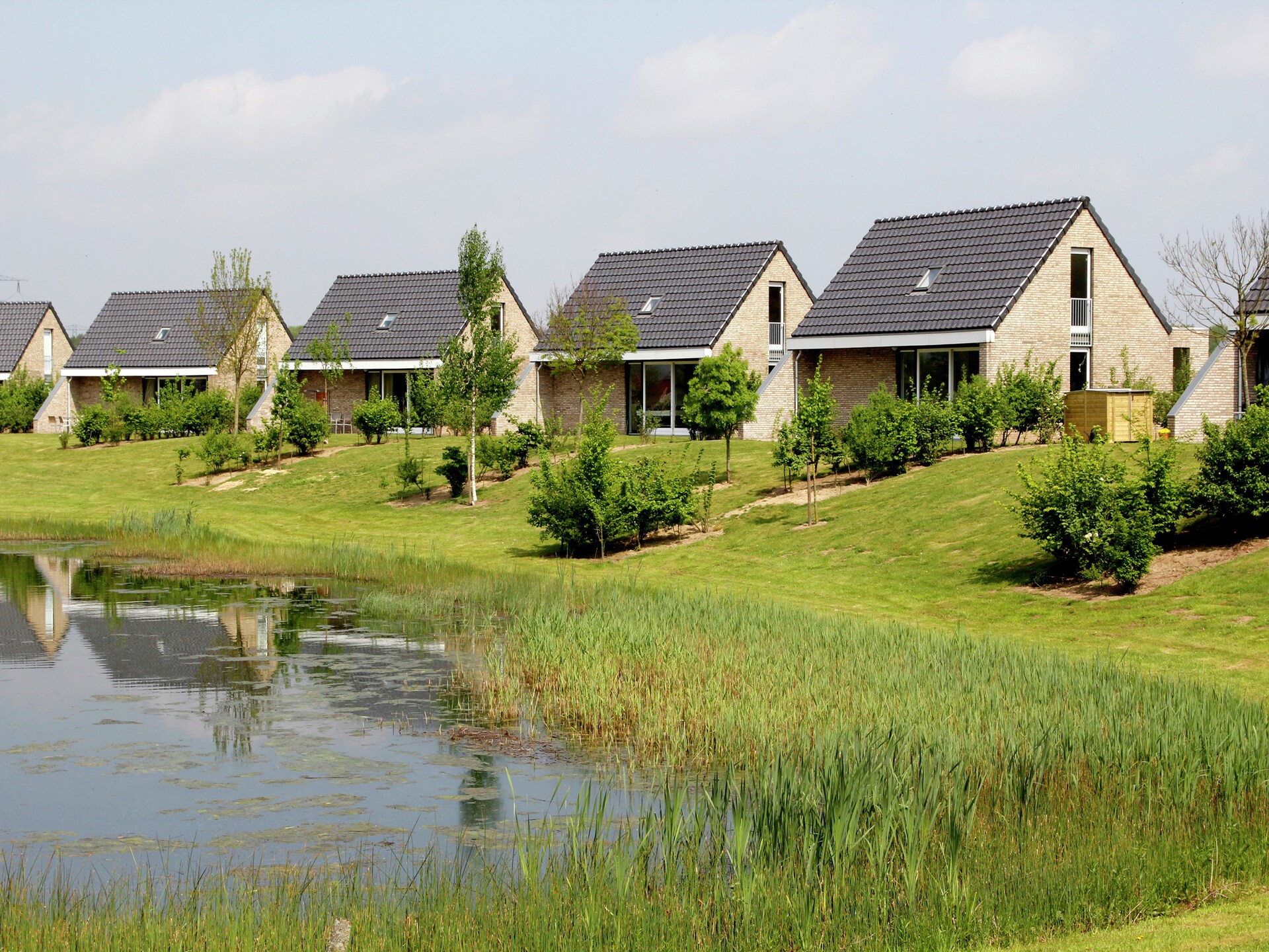 Ruime tuinvilla in Heel voor 6 personen met grote privétuin - foto 24