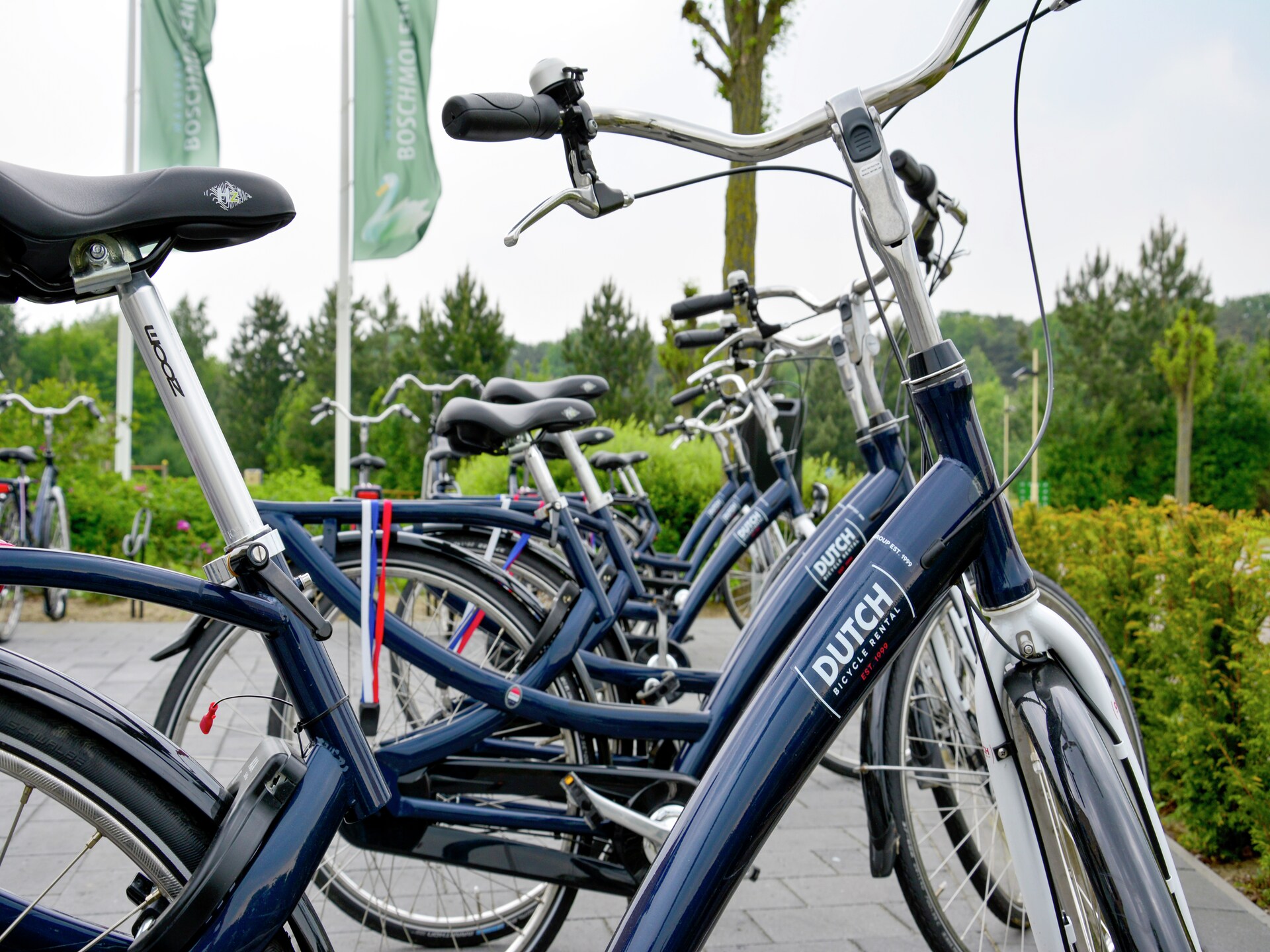 Ruime tuinvilla in Heel voor 6 personen met grote privétuin - foto 14