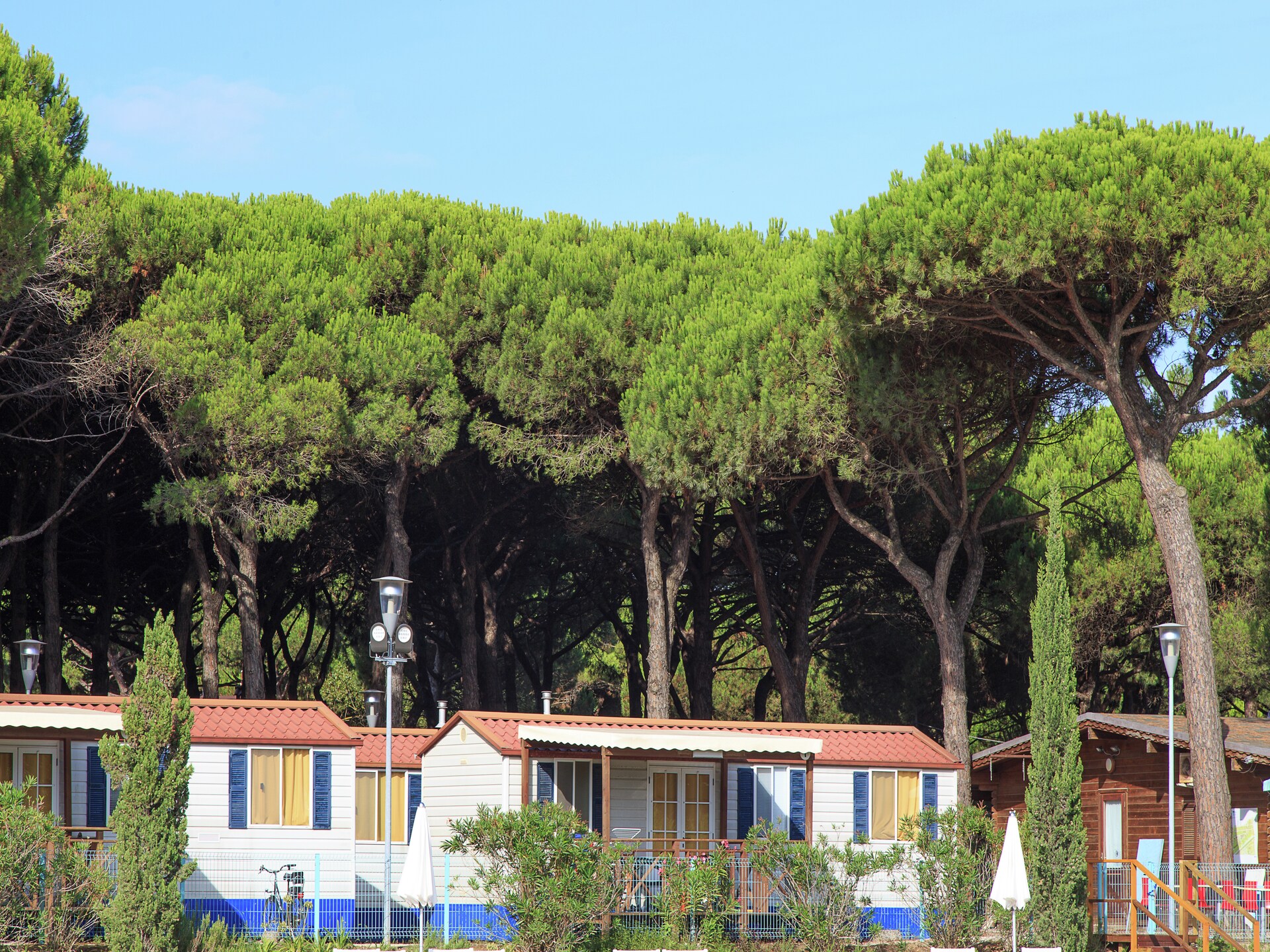 Schaduwrijk chalet in dennenbos Cesenatico, vlakbij zee - foto 7