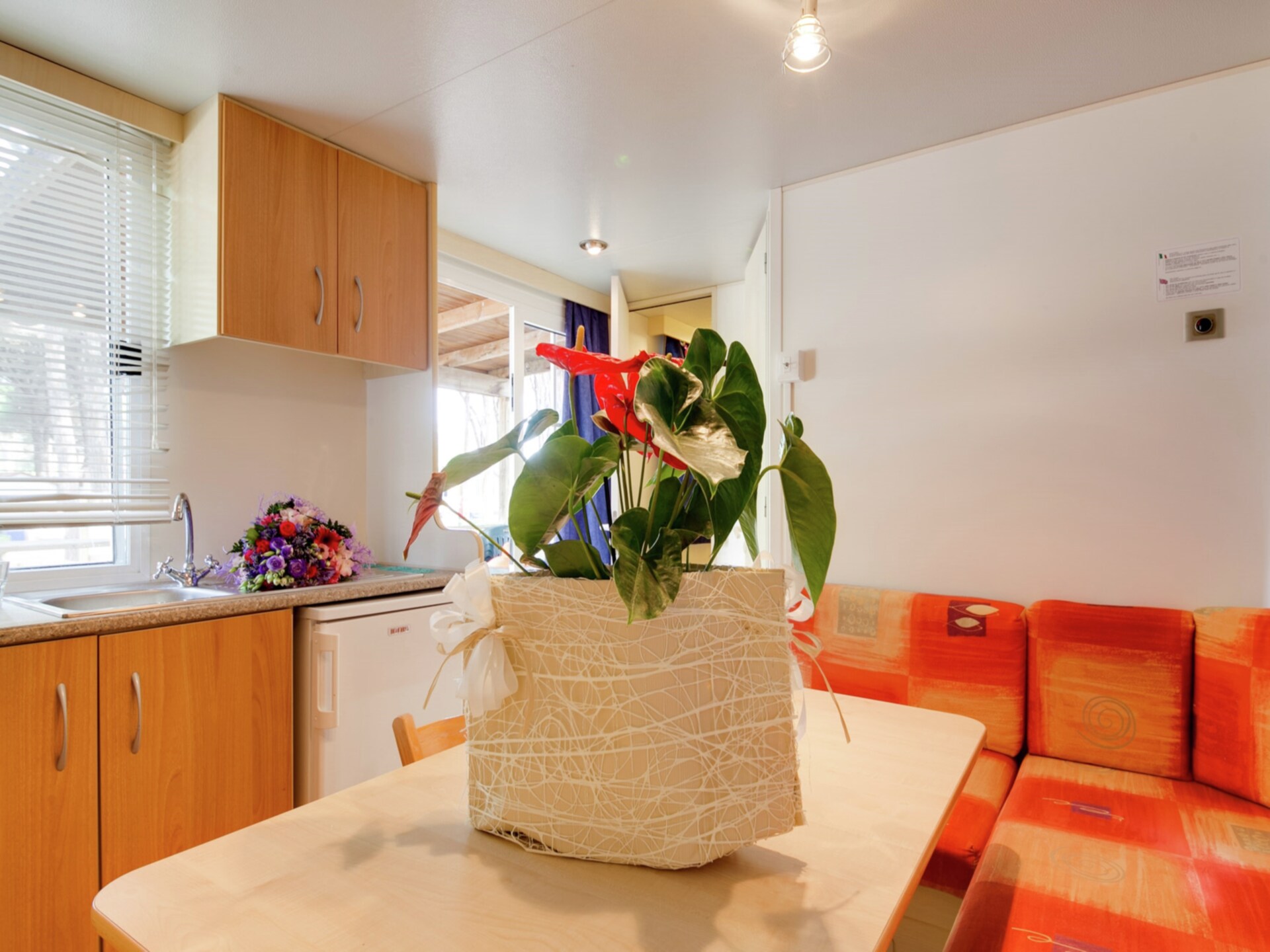 Schaduwrijk chalet in dennenbos Cesenatico, vlakbij zee - foto 32