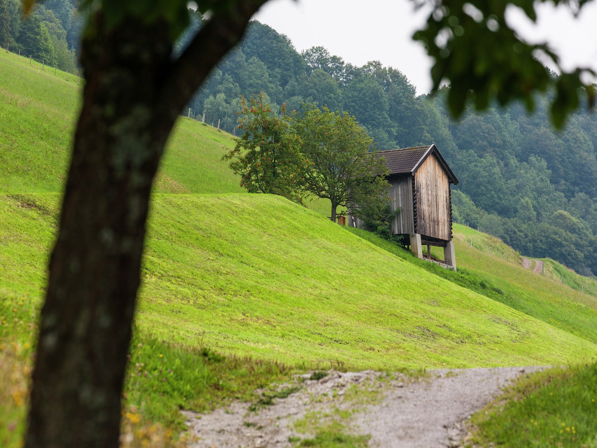 Rustiek Alpenappartement op boerderij bij Mittersill, vlakbij skipiste en meer - foto 42