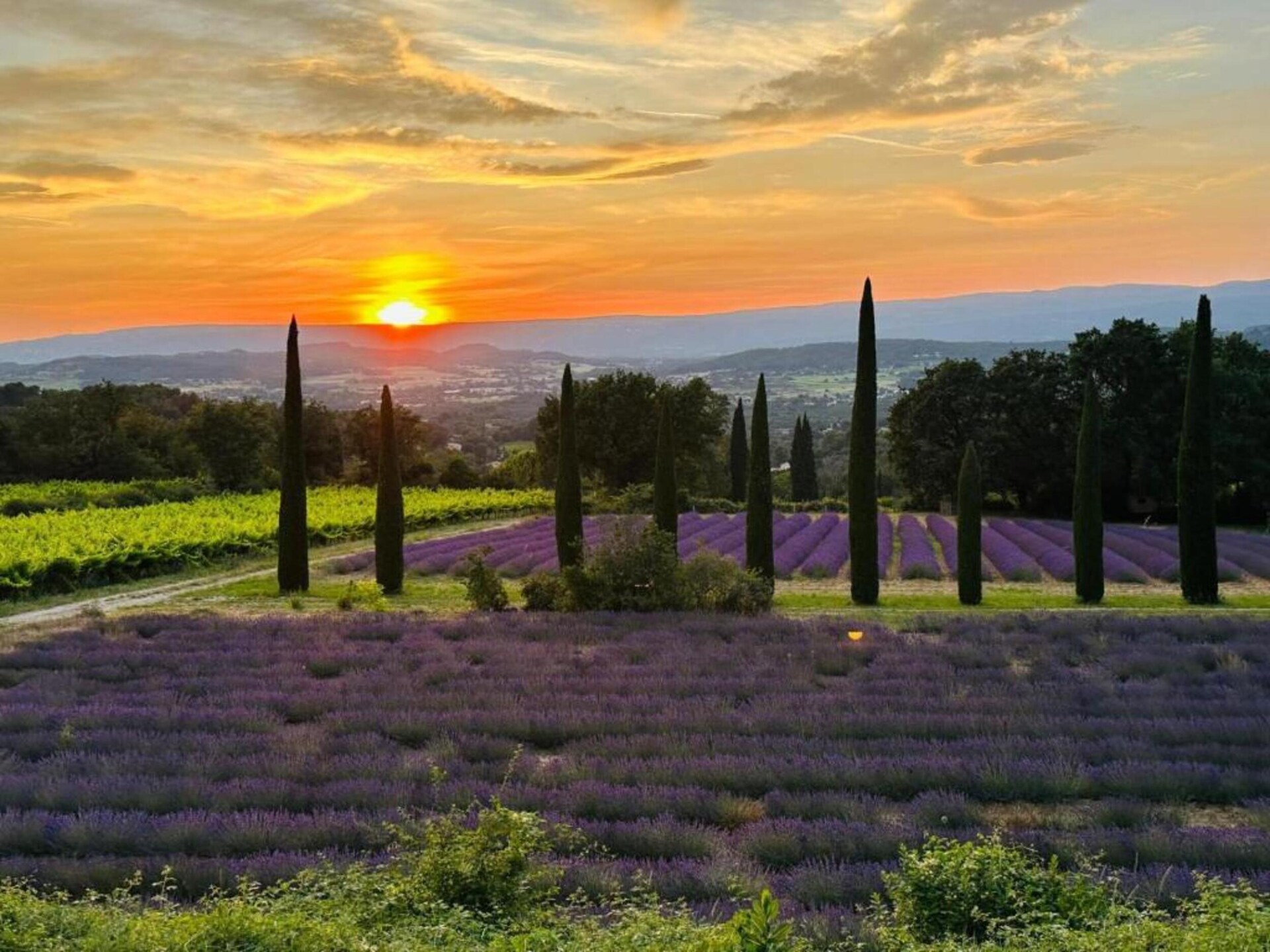Vrijstaande villa met privézwembad in het hart van de Luberon - foto 33