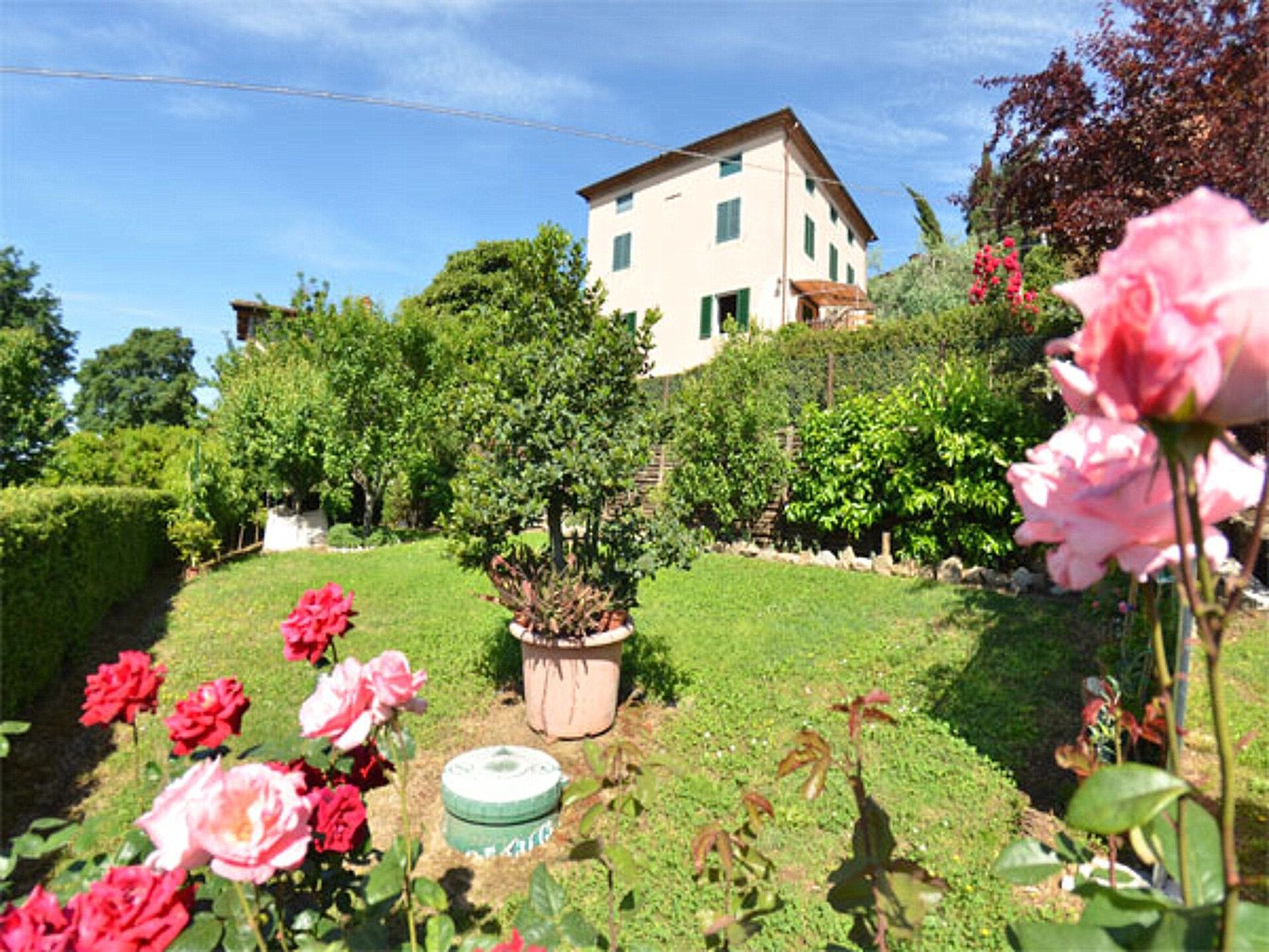 Alla Collina del Sole: Knus vakantiehuis met zwembad in heuvels van Lucca - foto 18