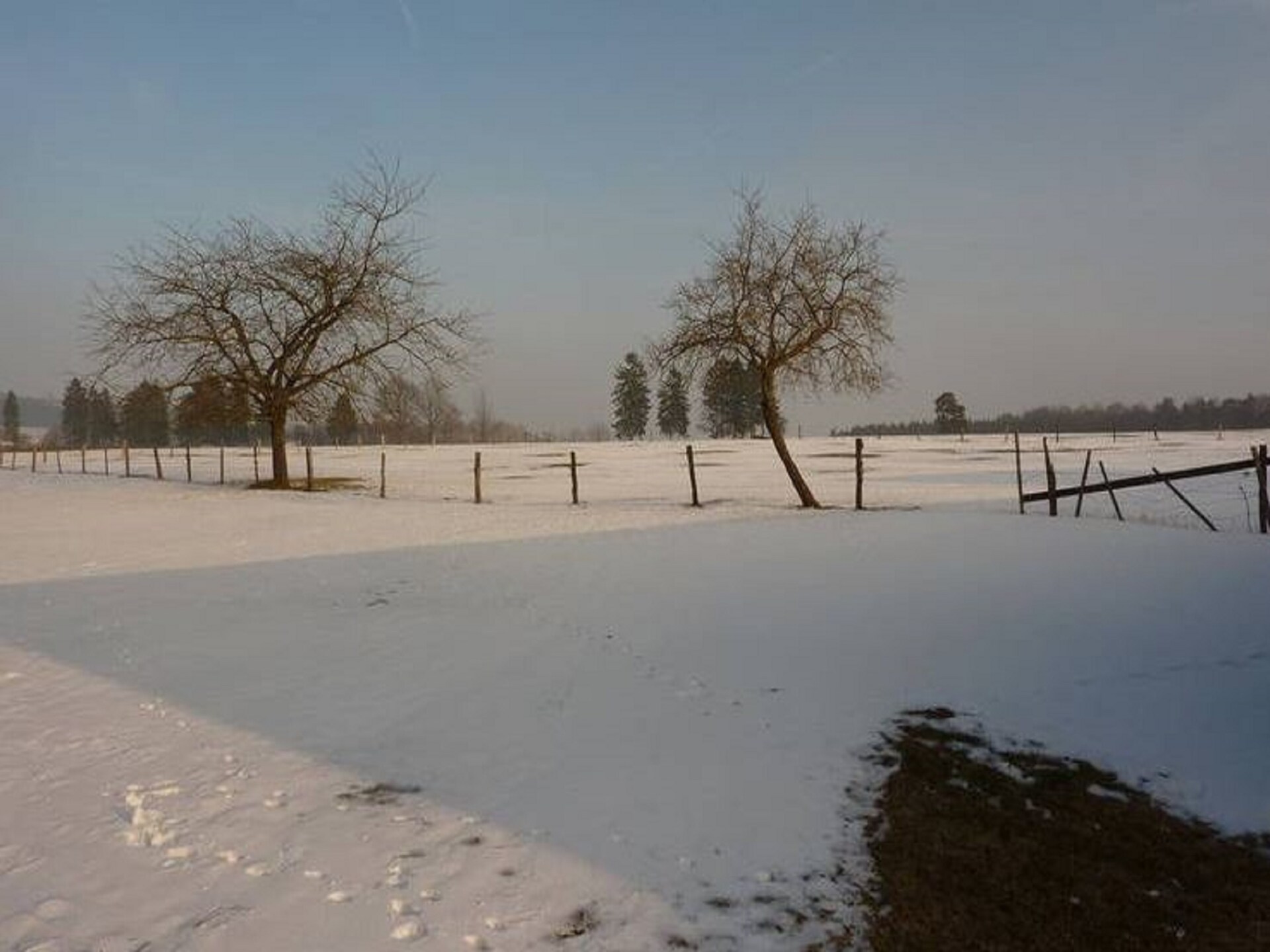 14-persoons landhuis op 500 m van de piste in Malmedy-Baugnez - foto 26