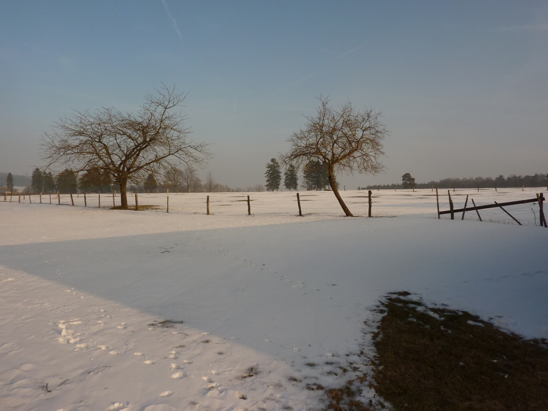Landhuis Les Pâturages 2: Ruim vakantiehuis met sauna in de Ardennen - foto 26