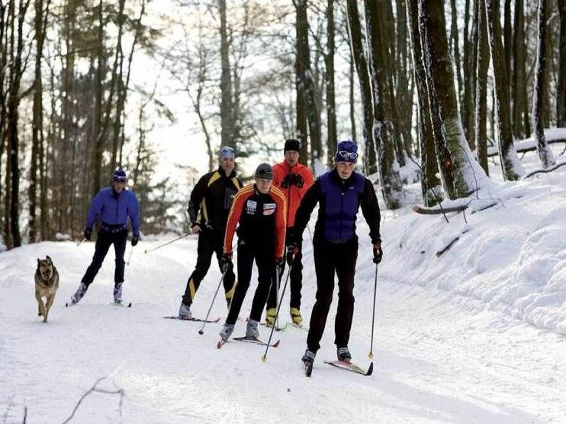 Ruim 13-persoons vakantiehuis aan de bosrand bij de Diemelsee - foto 33