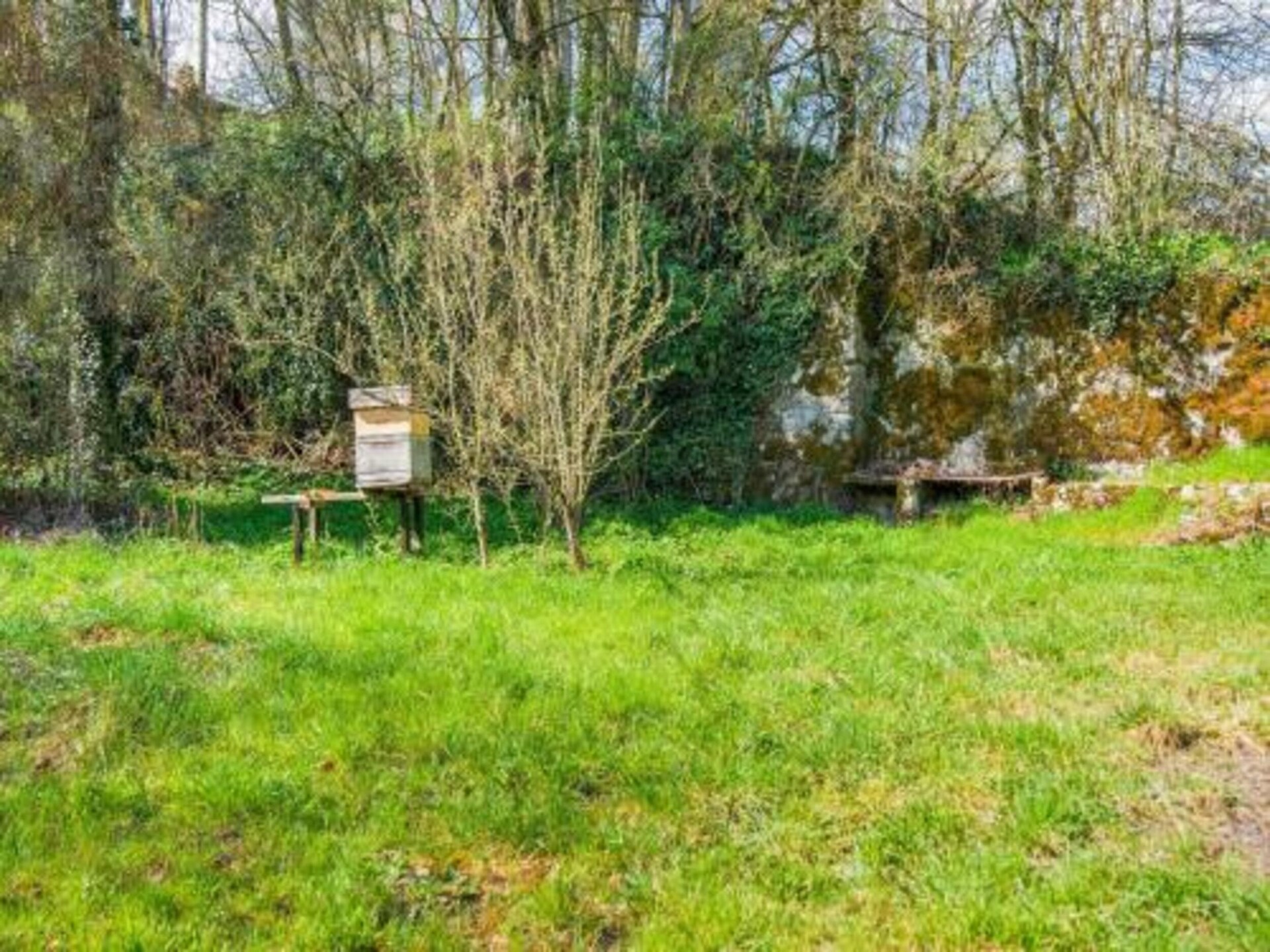Ruim vakantiehuis La Chevalerie in Somme-Leuze voor 9 personen - foto 28