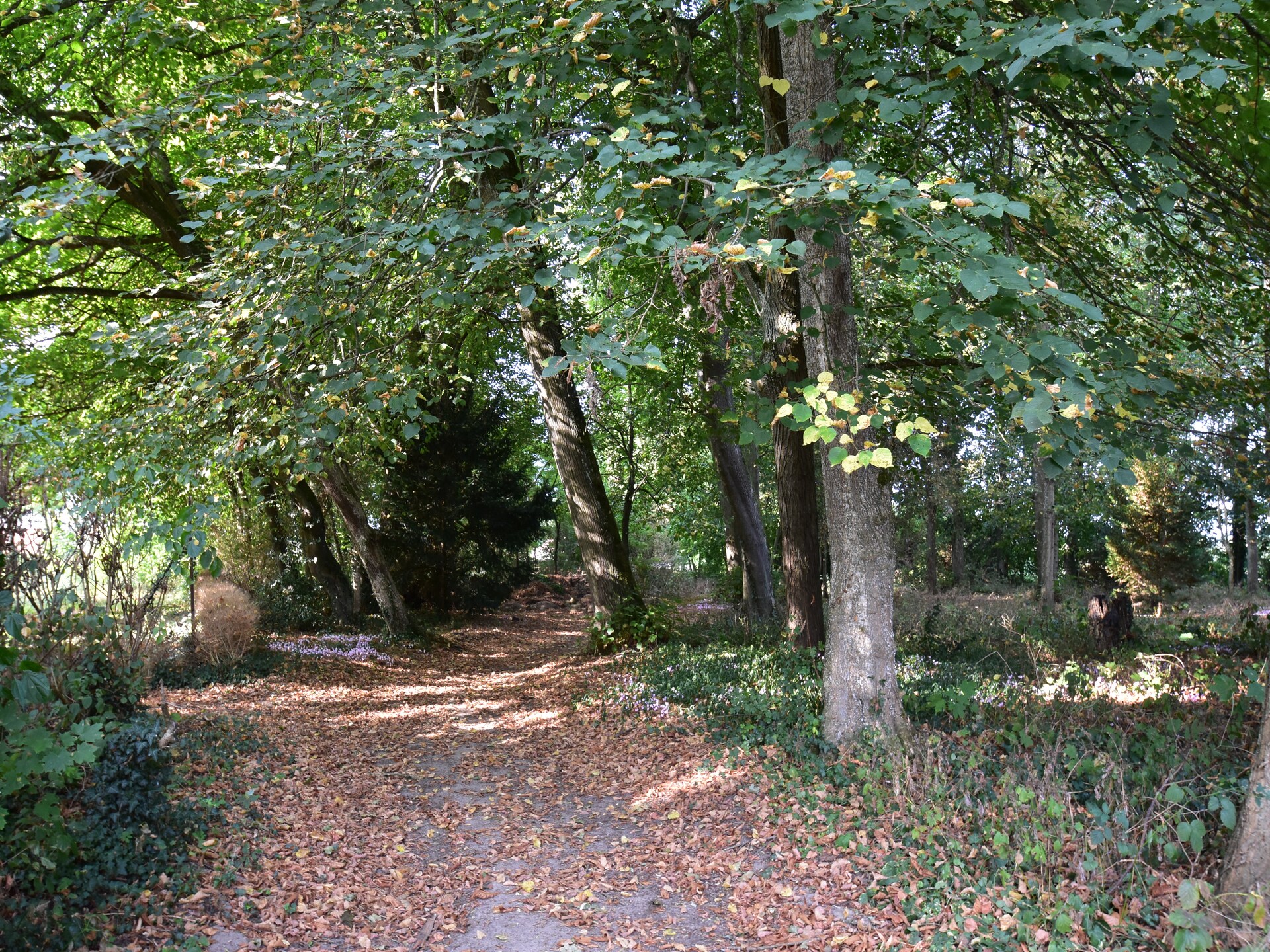 Authentiek landhuis met privézwembad in bosrijk park bij de Loire - foto 37