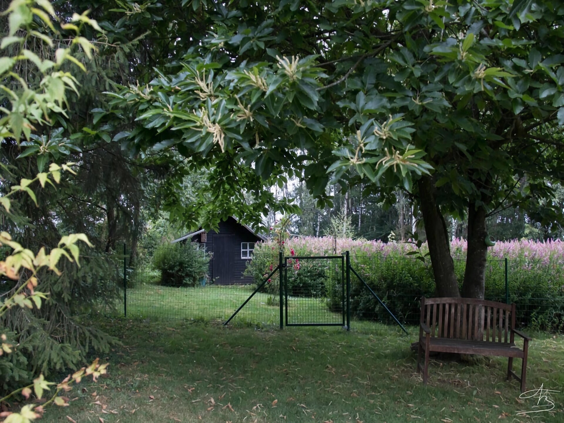 4-persoons vakantiehuis in centrum Froidchapelle met tuin - foto 9