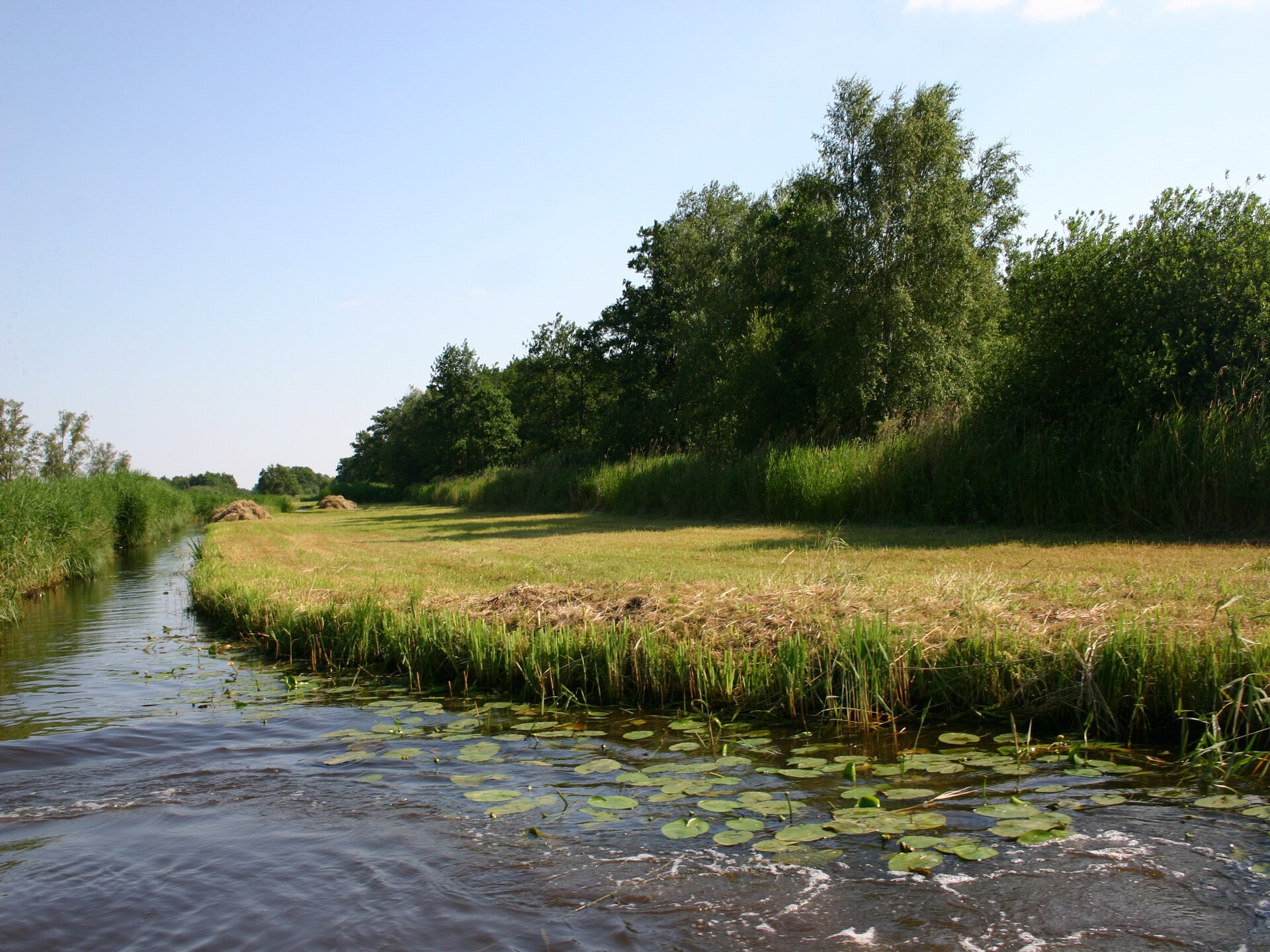 Vrijstaand vakantiehuis met zwembad in Paasloo, Nationaal Park Weerribben - foto 36