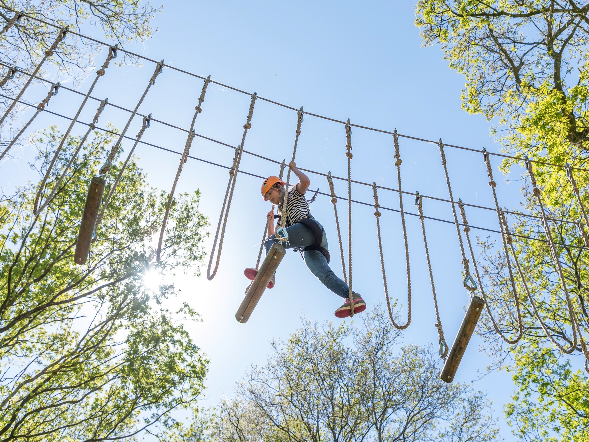 Vrijstaand vakantiehuis met zwembad in Paasloo, Nationaal Park Weerribben - foto 22