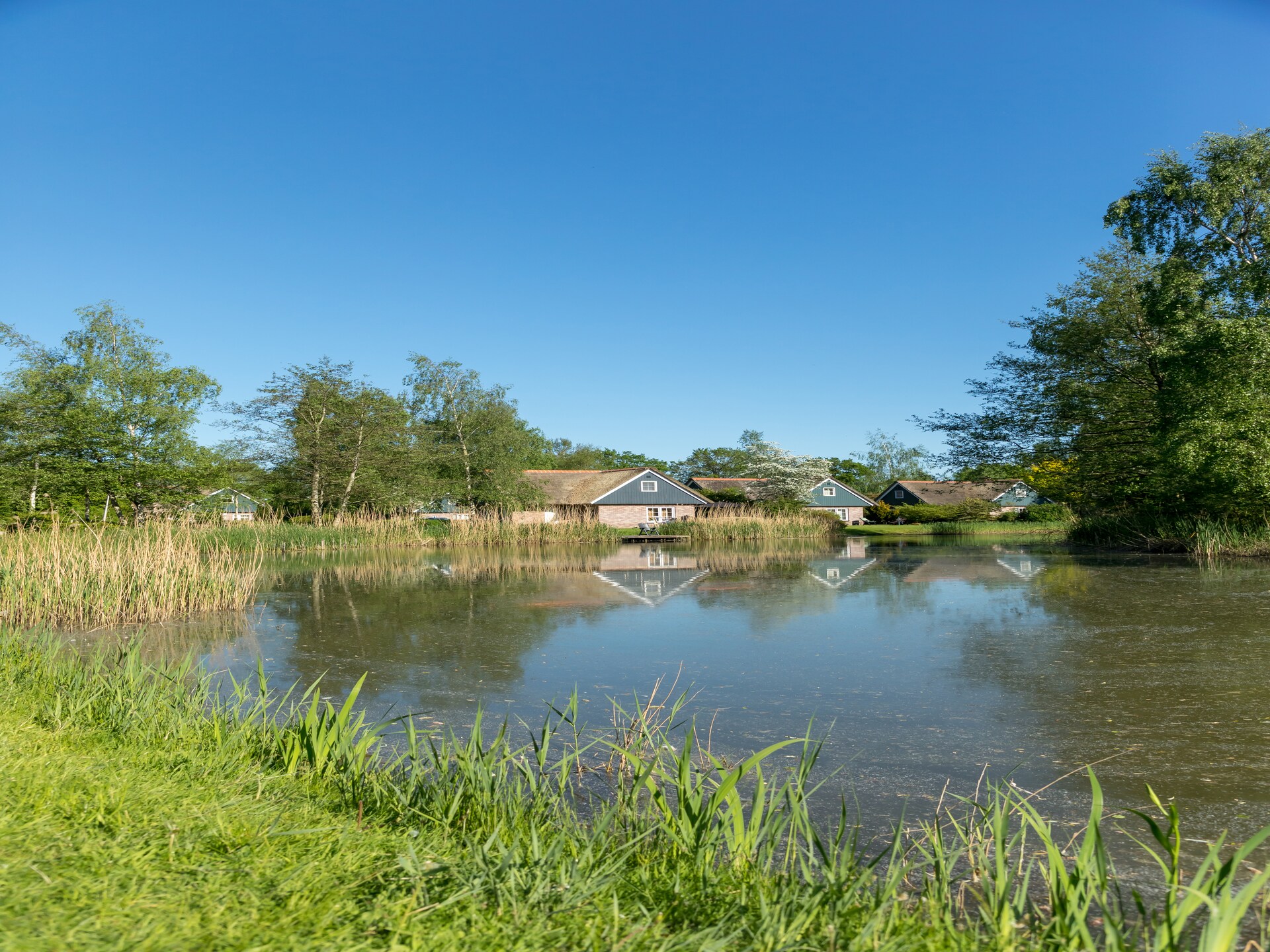 Vrijstaand vakantiehuis met zwembad in Paasloo, Nationaal Park Weerribben - foto 26