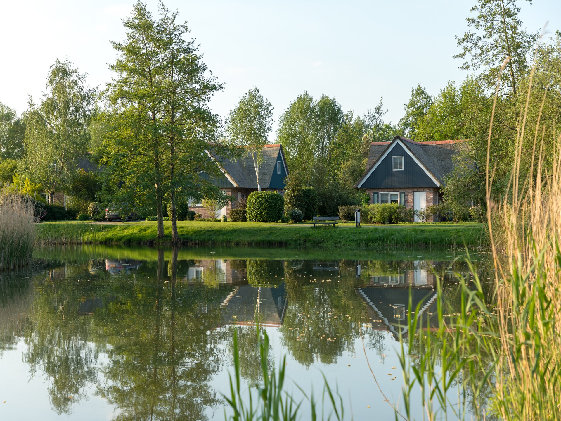 Vrijstaand vakantiehuis met zwembad in Paasloo, Nationaal Park Weerribben - foto 29
