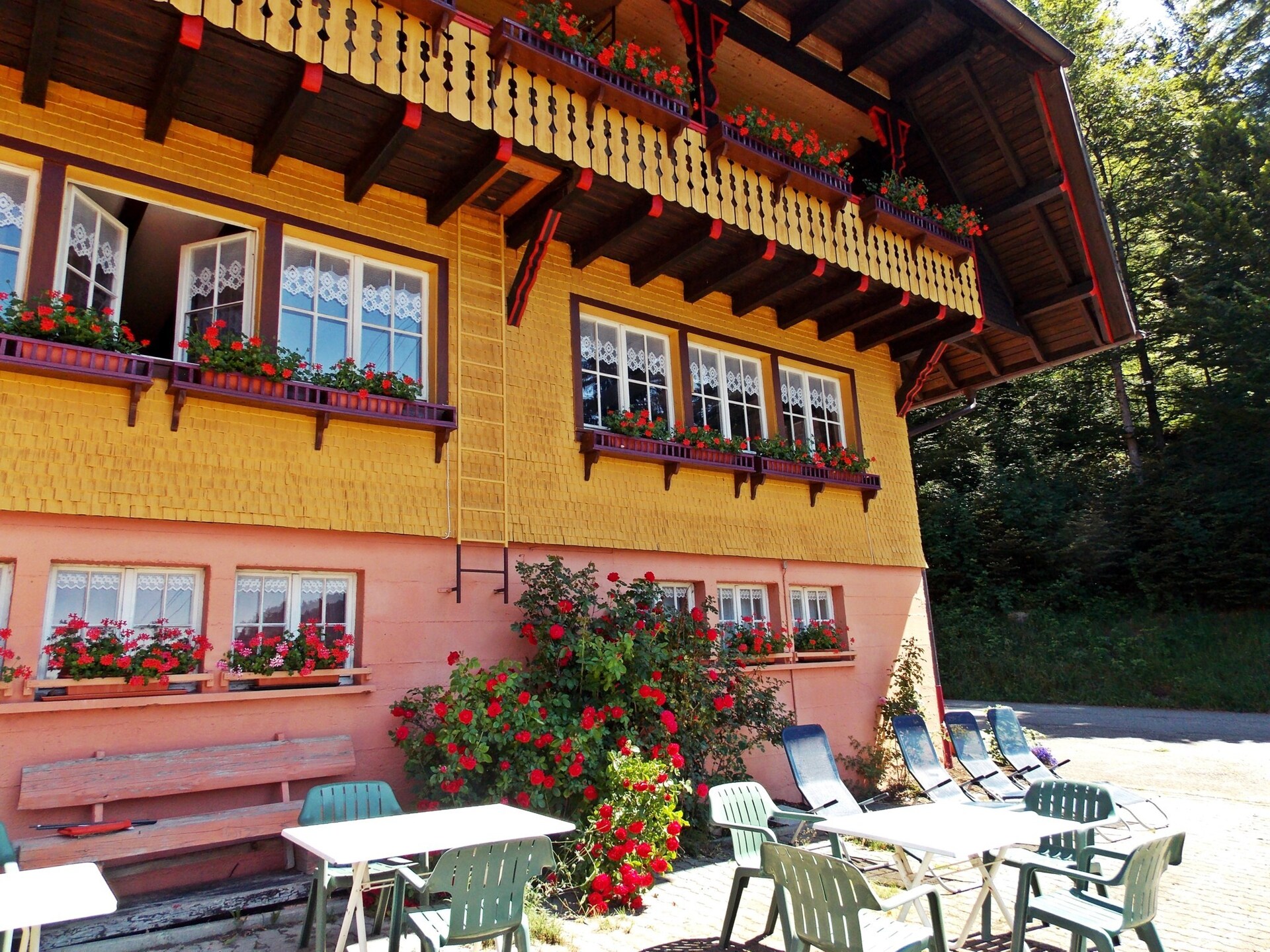 Ruim vakantiehuis met panoramisch dalzicht aan de bosrand in Todtmoos - foto 5