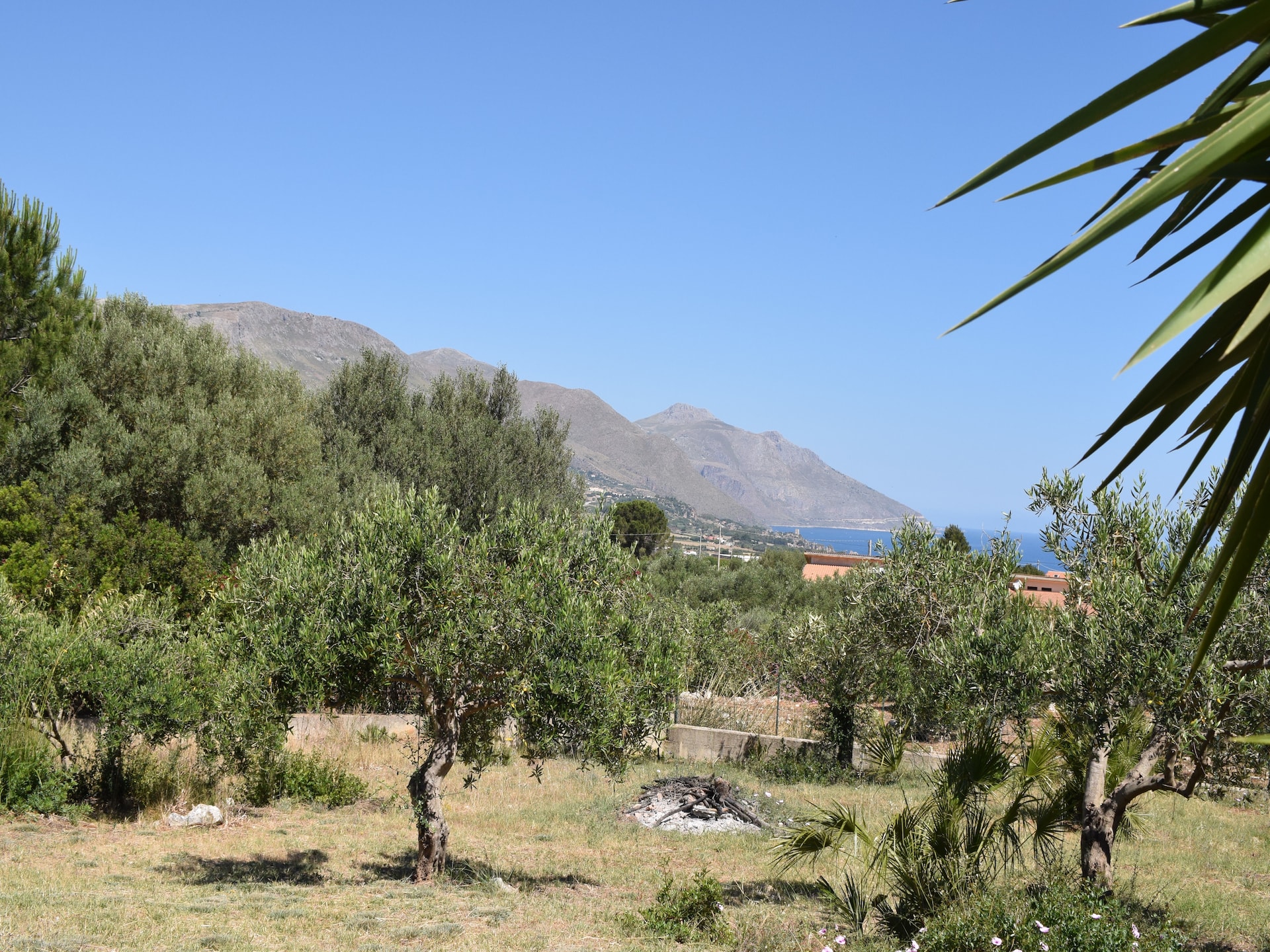 Ruim vakantiehuis Villa La Marmora in Castellammare del Golfo - foto 30