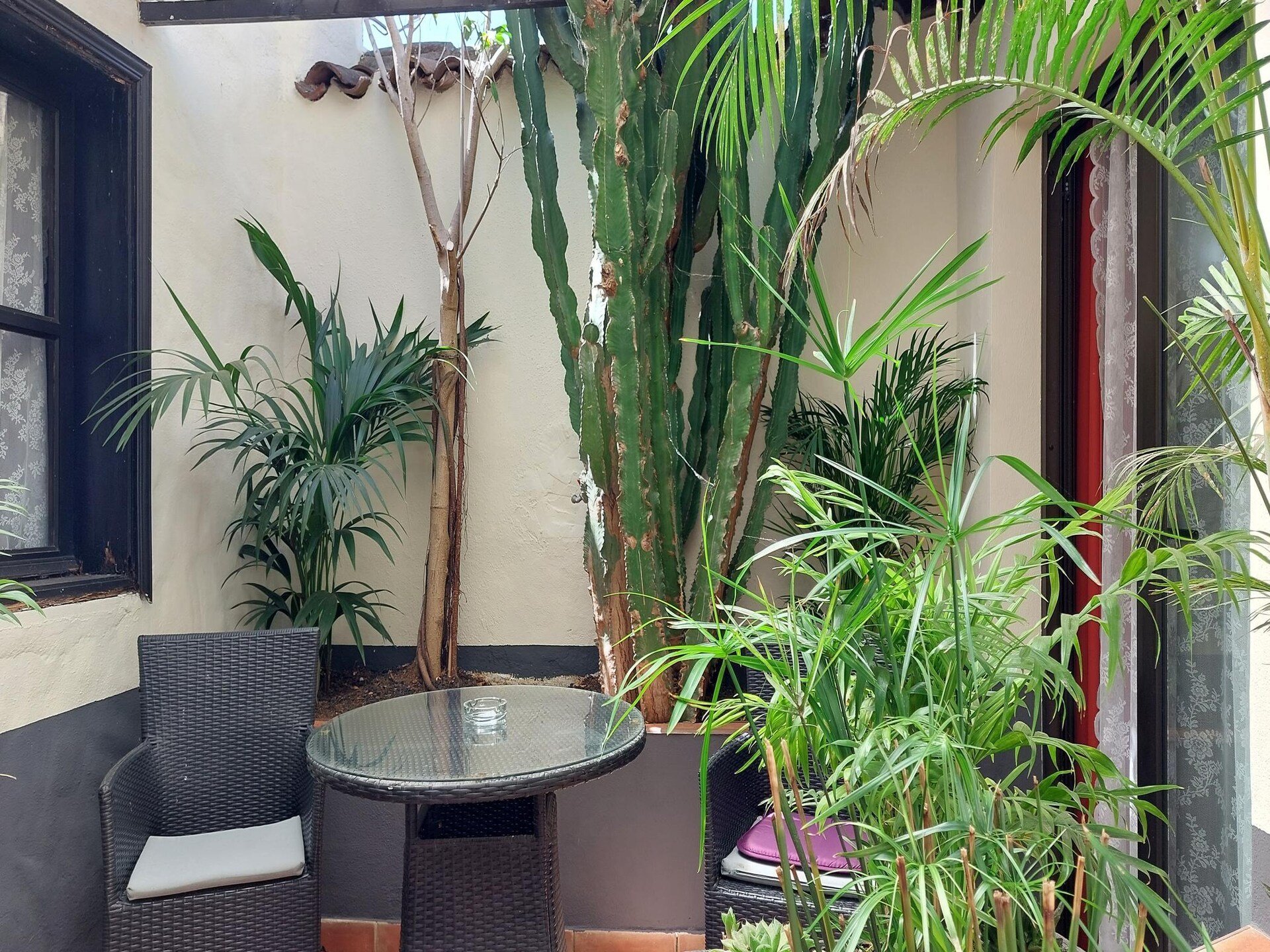 Vrijstaand boshuisje met privébalkon bij Icod de los Vinos - foto 10