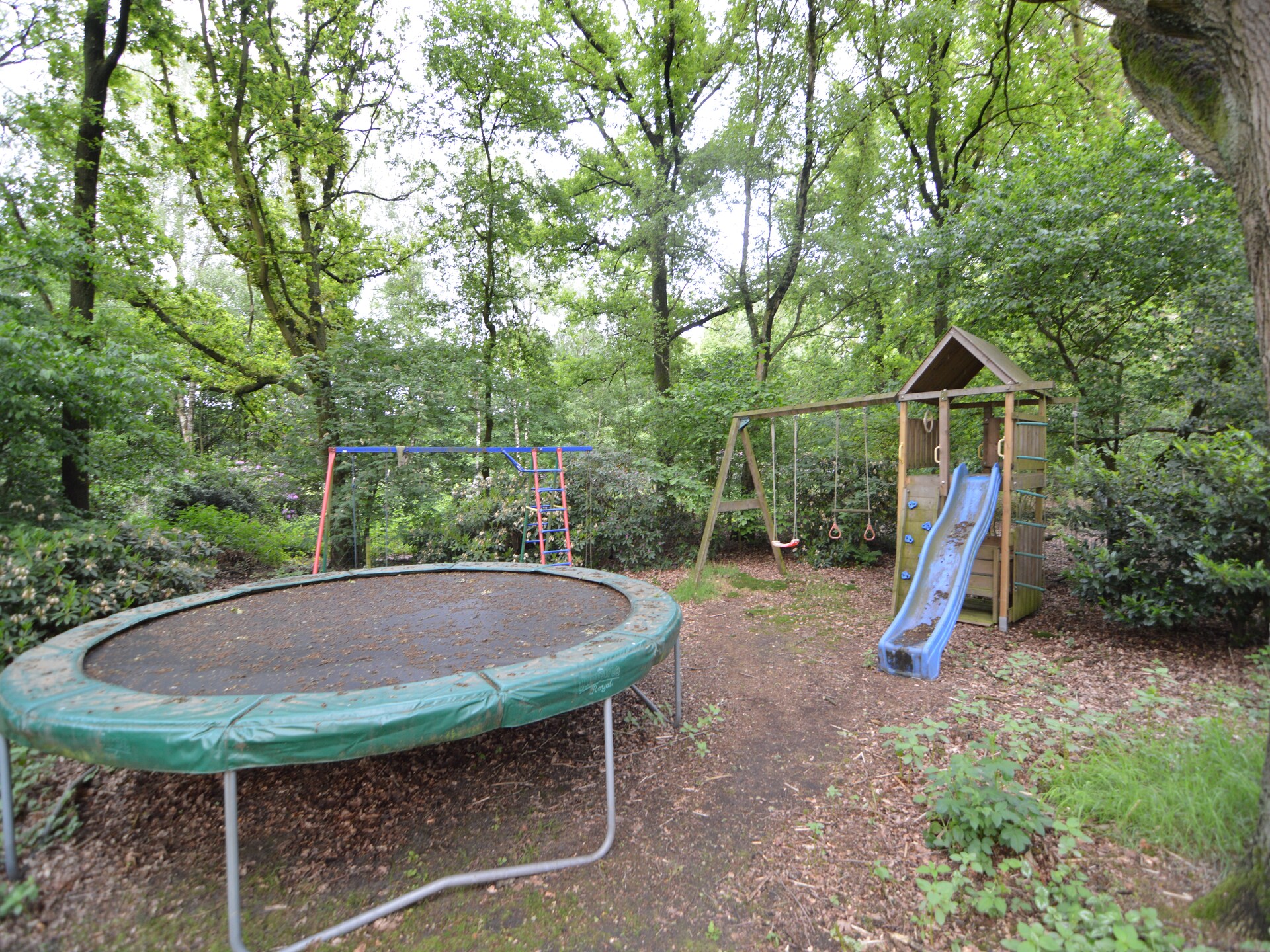 Vrijstaande villa op 9000m² in Vessem: natuur, rust en ruimte voor 6 personen - foto 35
