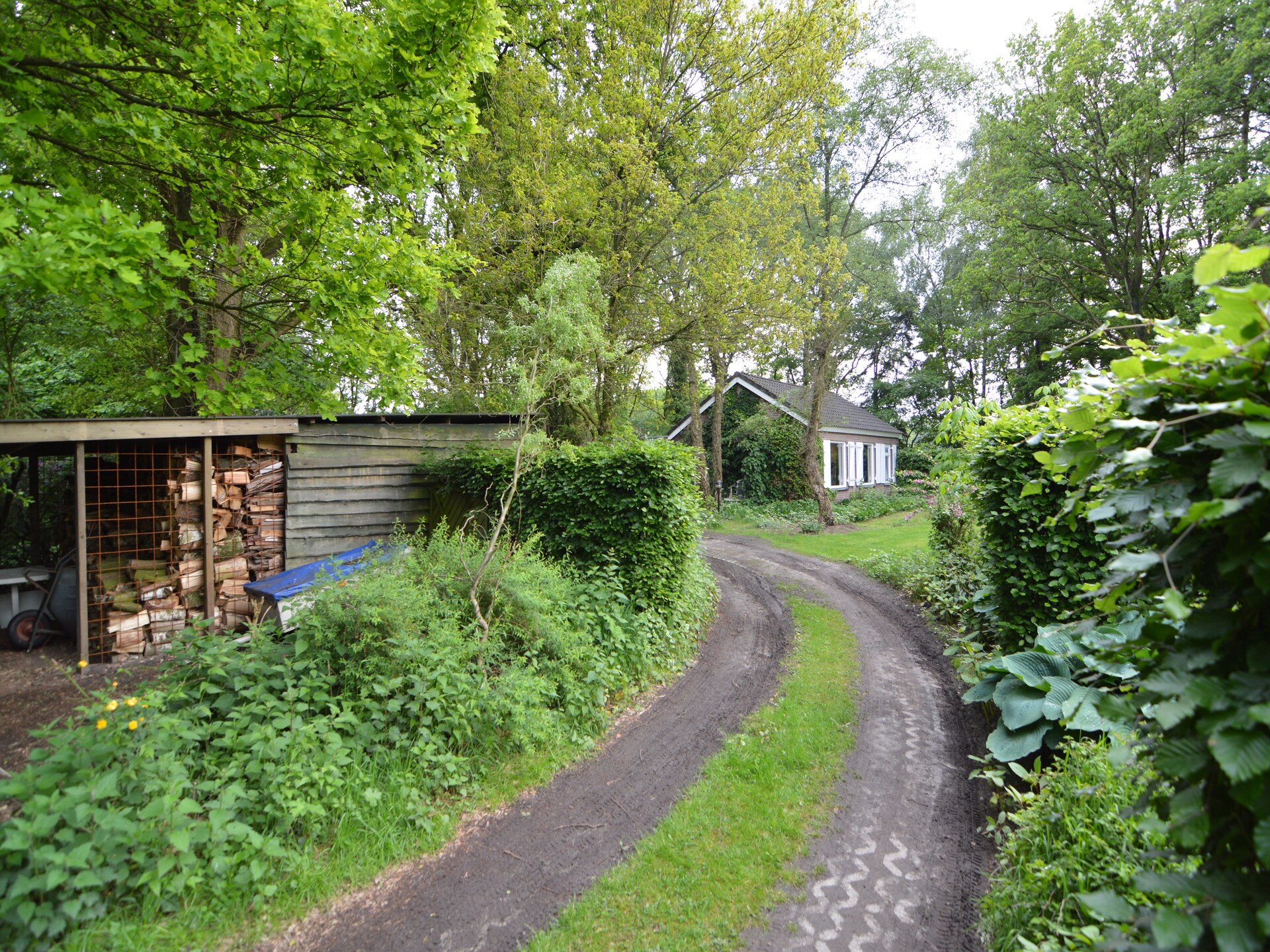 Vrijstaande villa op 9000m² in Vessem: natuur, rust en ruimte voor 6 personen - foto 26