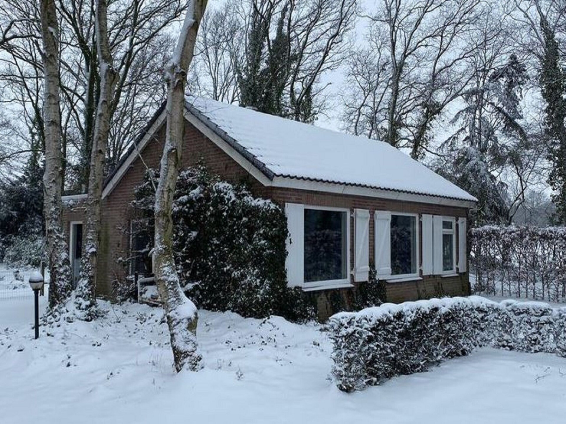 Vrijstaande villa op 9000m² in Vessem: natuur, rust en ruimte voor 6 personen - foto 10