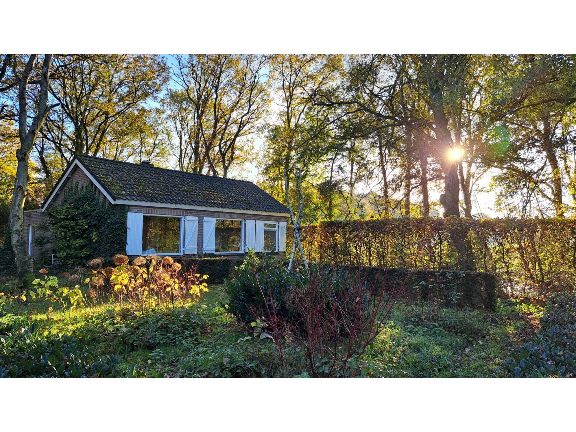Vrijstaande villa op 9000m² in Vessem: natuur, rust en ruimte voor 6 personen - foto 7