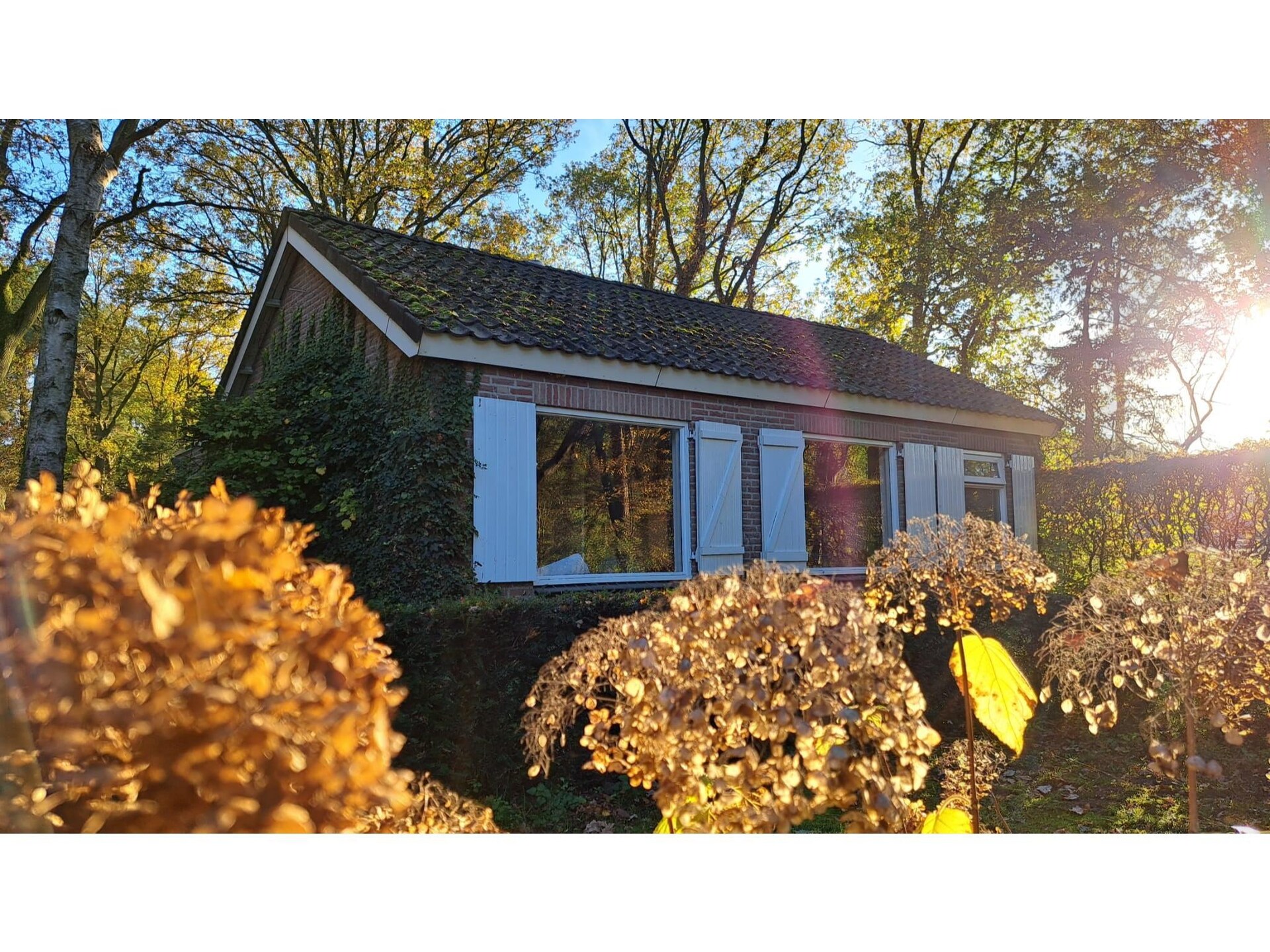 Vrijstaande villa op 9000m² in Vessem: natuur, rust en ruimte voor 6 personen - foto 8