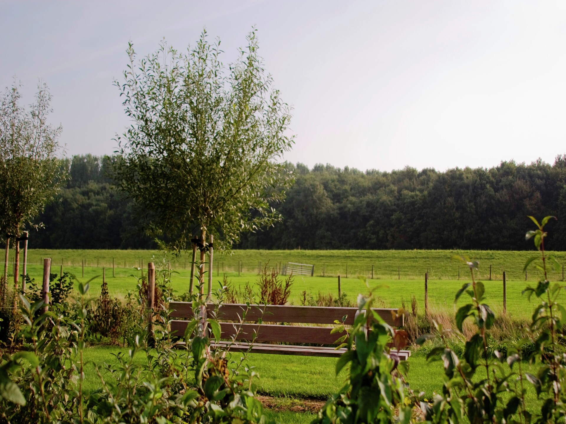 Luxe groepsboerderij Stelhoeve: 30 pers, Zeeland, 14 suites, aan zee - foto 26