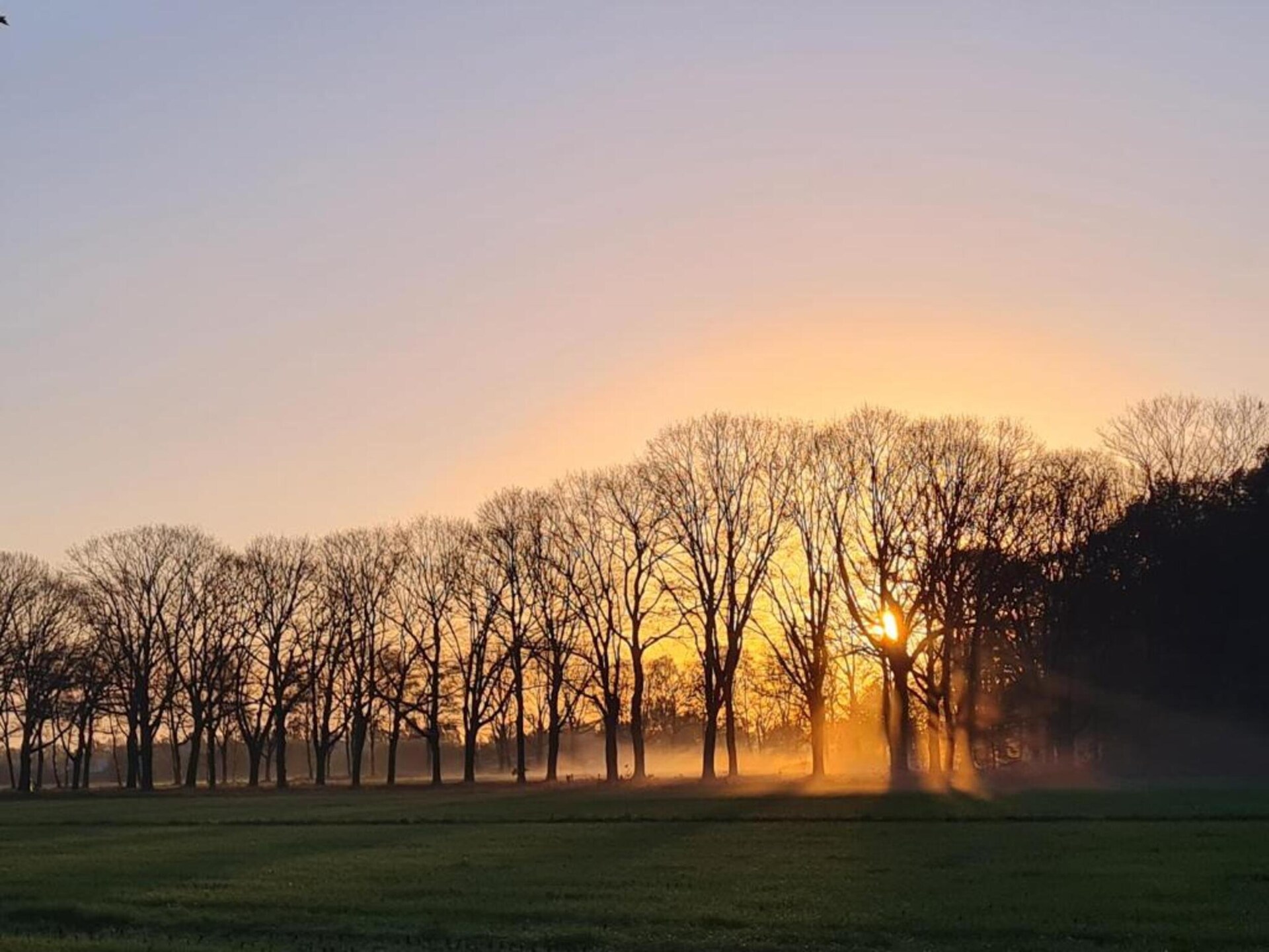 Paradiso: Ruim vakantiehuis voor 20 pers. in Oost-Brabantse natuur - foto 39
