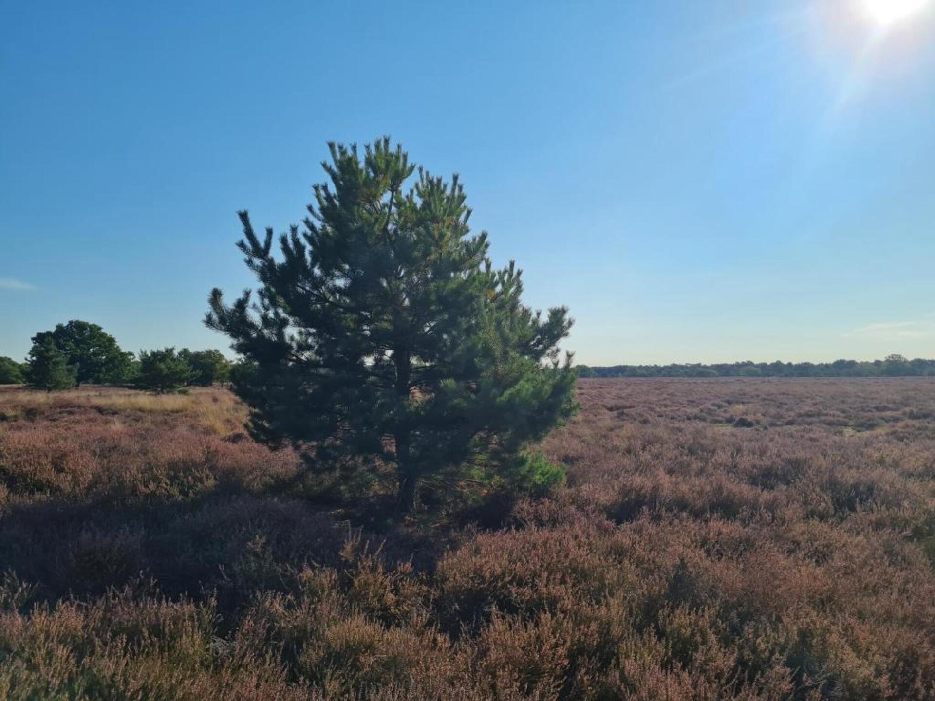 Paradiso: Ruim vakantiehuis voor 20 pers. in Oost-Brabantse natuur - foto 32