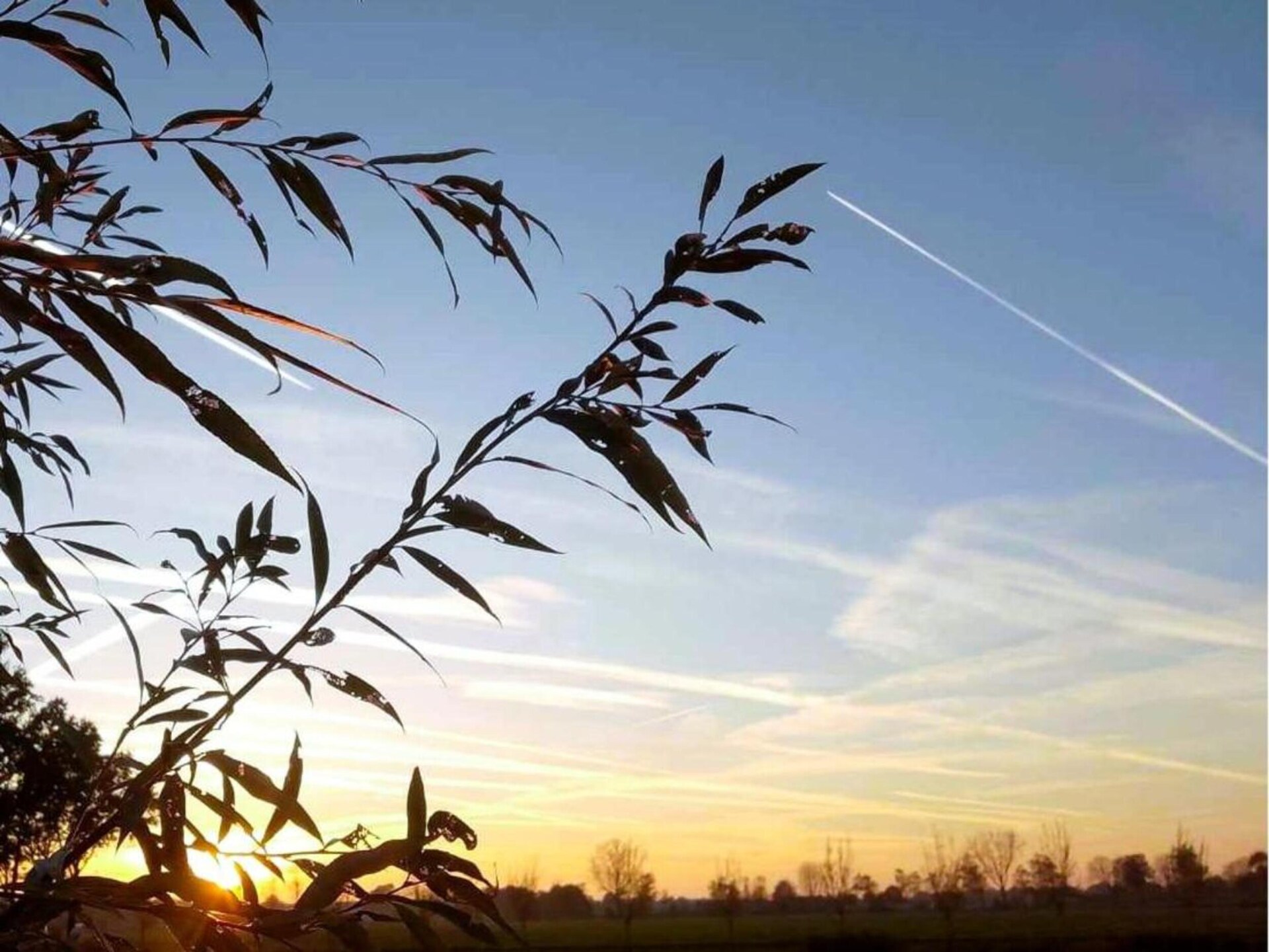 Paradiso: Ruim vakantiehuis voor 20 pers. in Oost-Brabantse natuur - foto 36