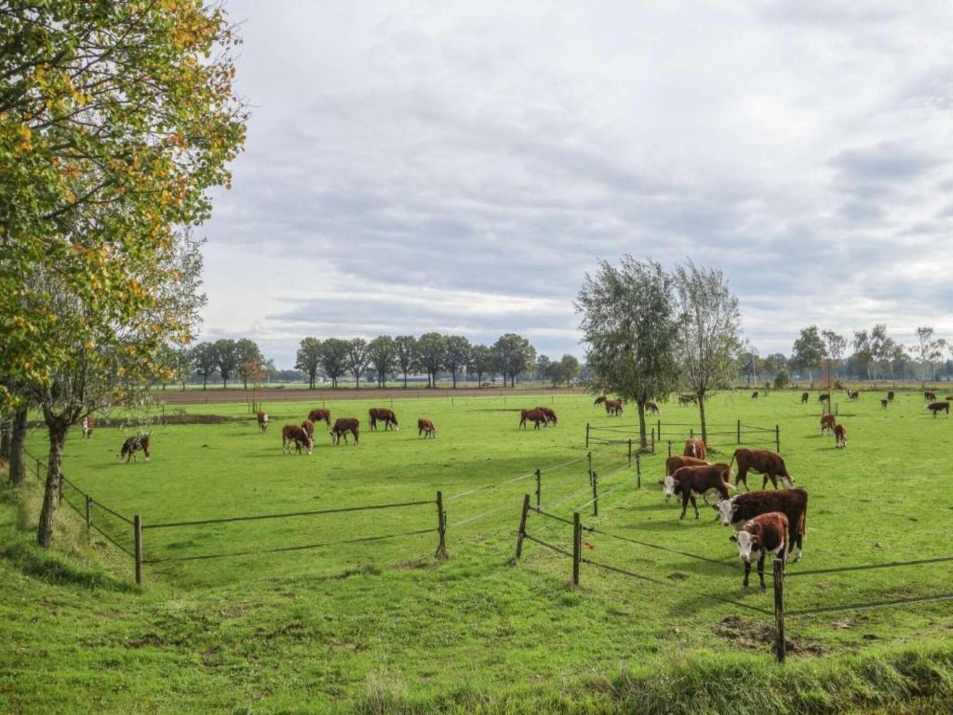 Paradiso: Ruim vakantiehuis voor 20 pers. in Oost-Brabantse natuur - foto 31