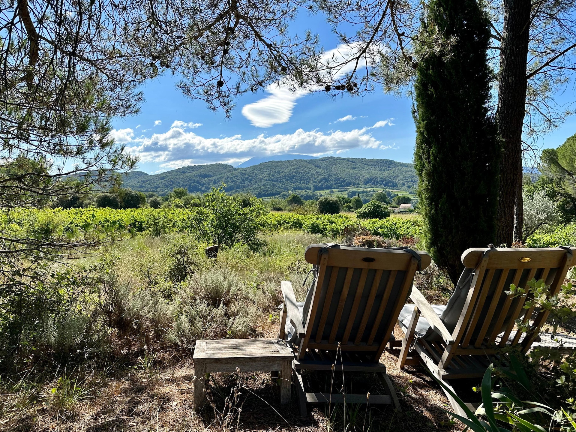 8-persoons landhuis met privézwembad in Vaison la Romaine - foto 34