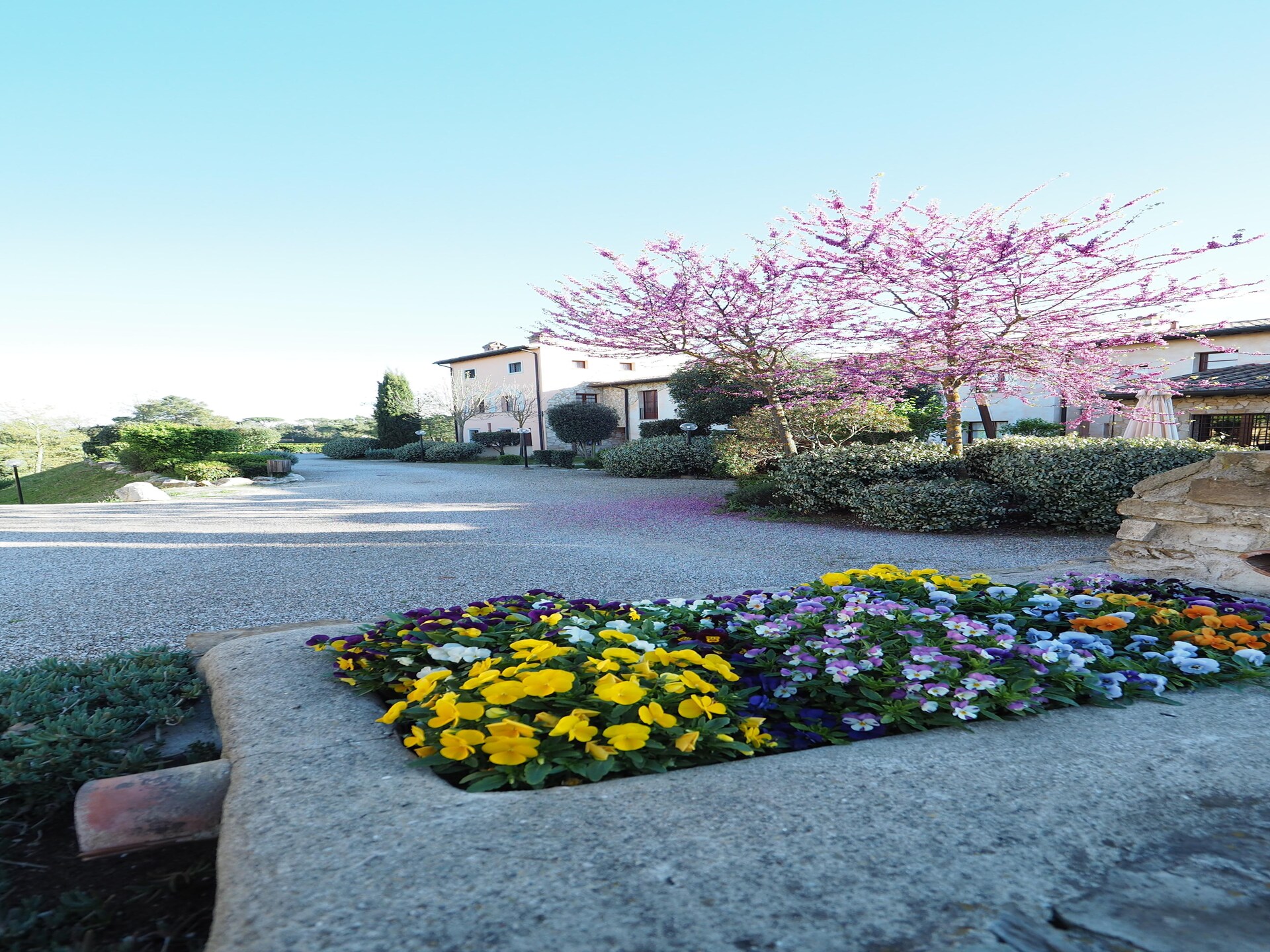 Torenappartement in de Toscaanse bossen bij Gambassi Terme - foto 40