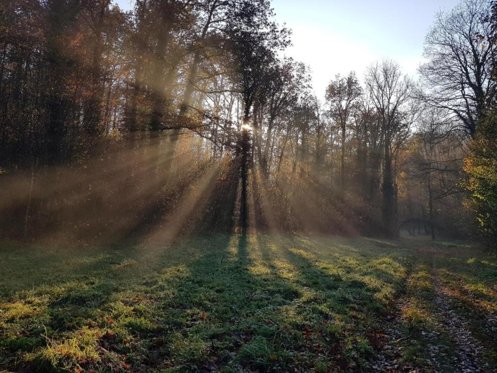 Sfeervol vakantiehuis voor 6 in de bossen van Treignes met tuin - foto 24