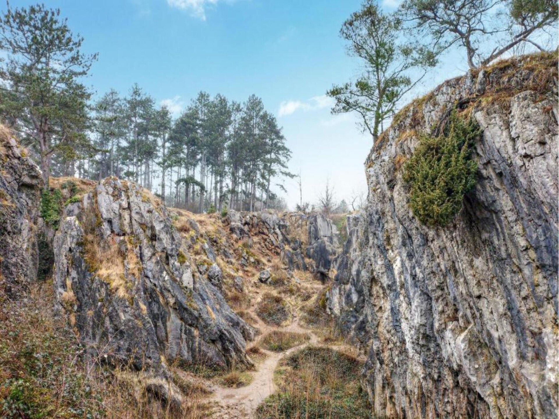 Sfeervol vakantiehuis voor 6 in de bossen van Treignes met tuin - foto 26