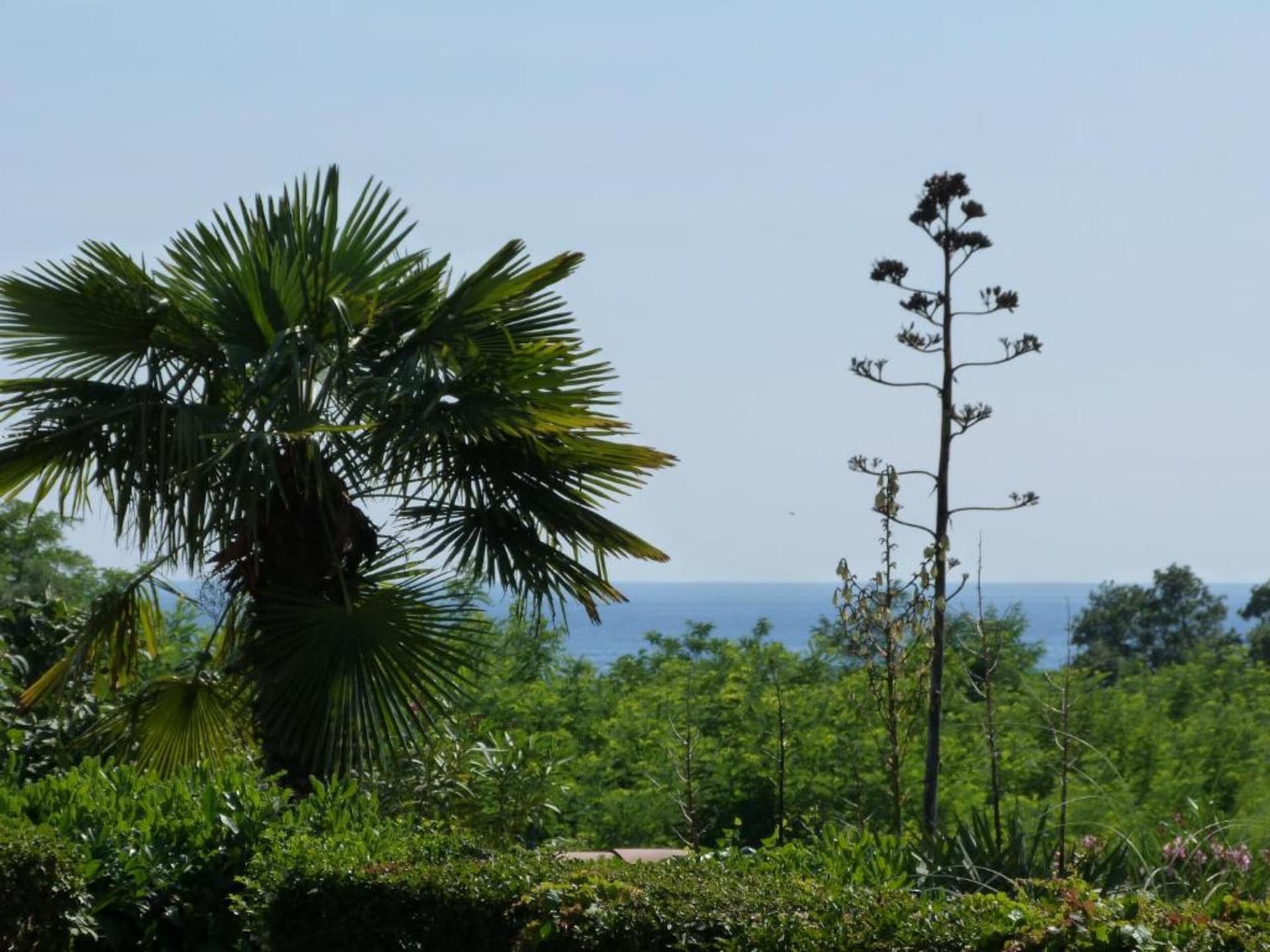 Villa Amaris: Elegante villa met privézwembad op 400m van zee in Novigrad - foto 35