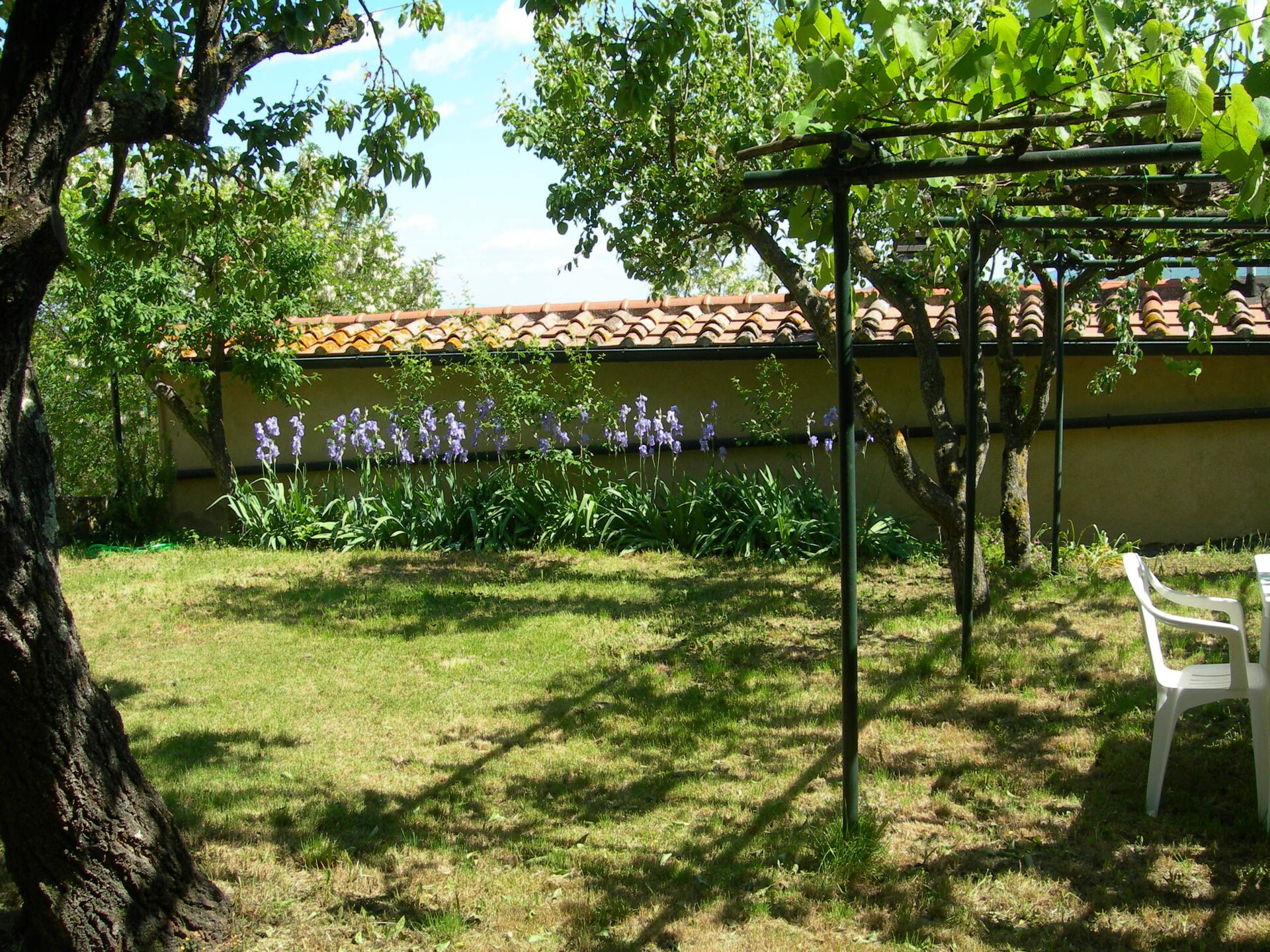 Rustiek appartement voor 4 in Montecastelli Pisano, vlakbij bos en Pavone rivier - foto 26