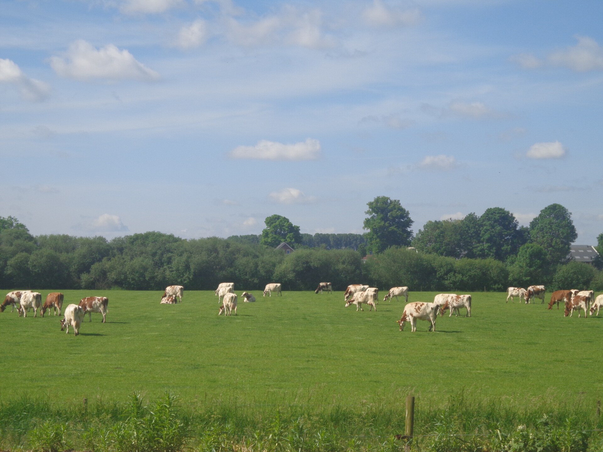 Romantisch vakantiehuis in bosrijke omgeving met uitzicht op de Eltenberg - foto 13