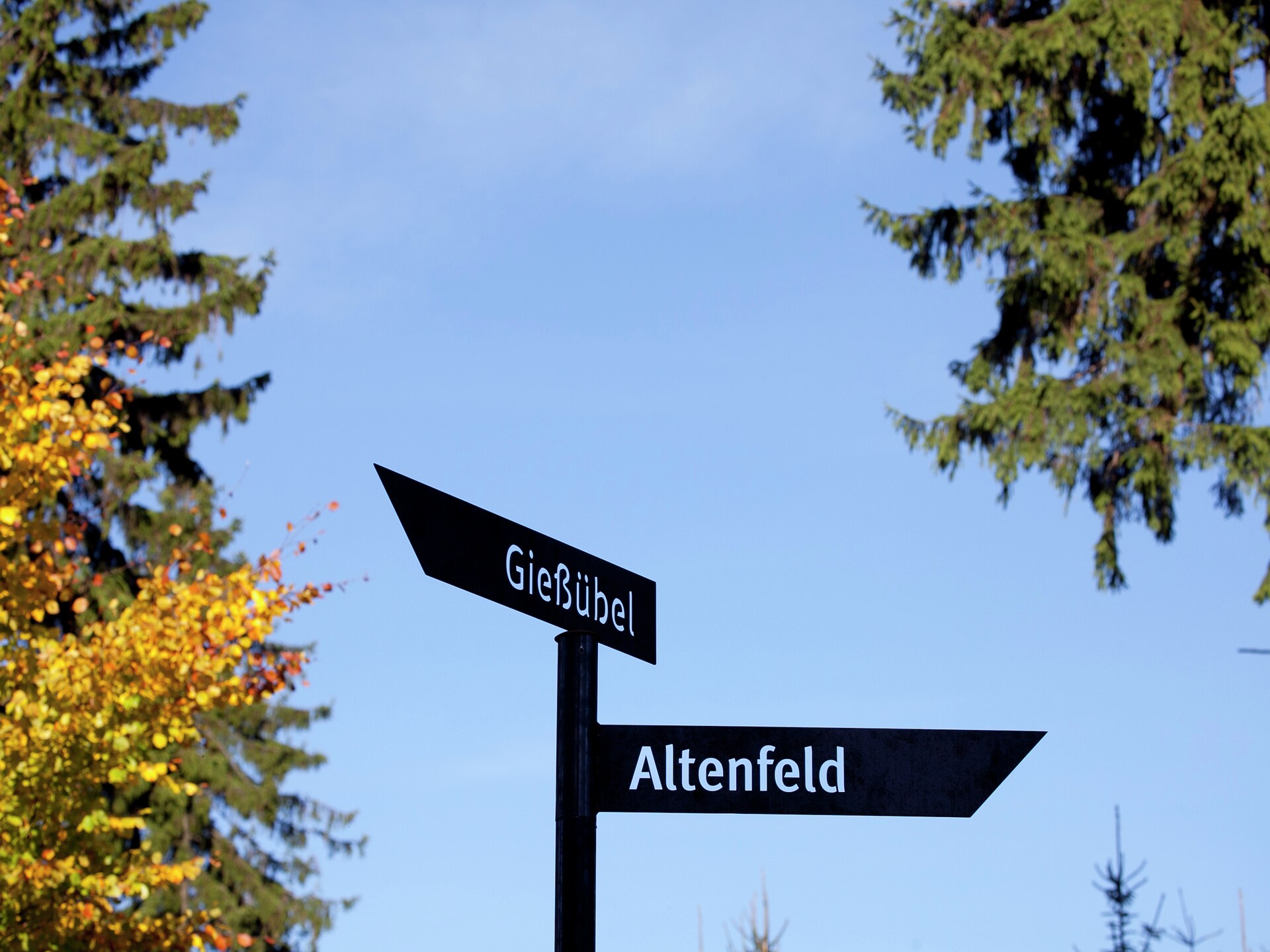 Vrijstaand boshuis in Altenfeld aan de voet van het Thüringer Woud - foto 38
