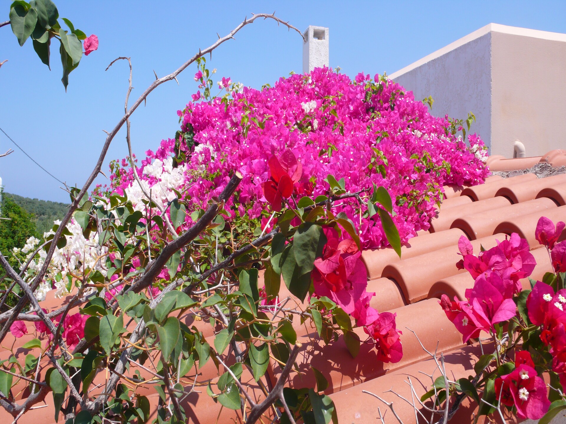 Stijlvolle villa met privézwembad en weids zeezicht in Loutra, Rethymnon - foto 38