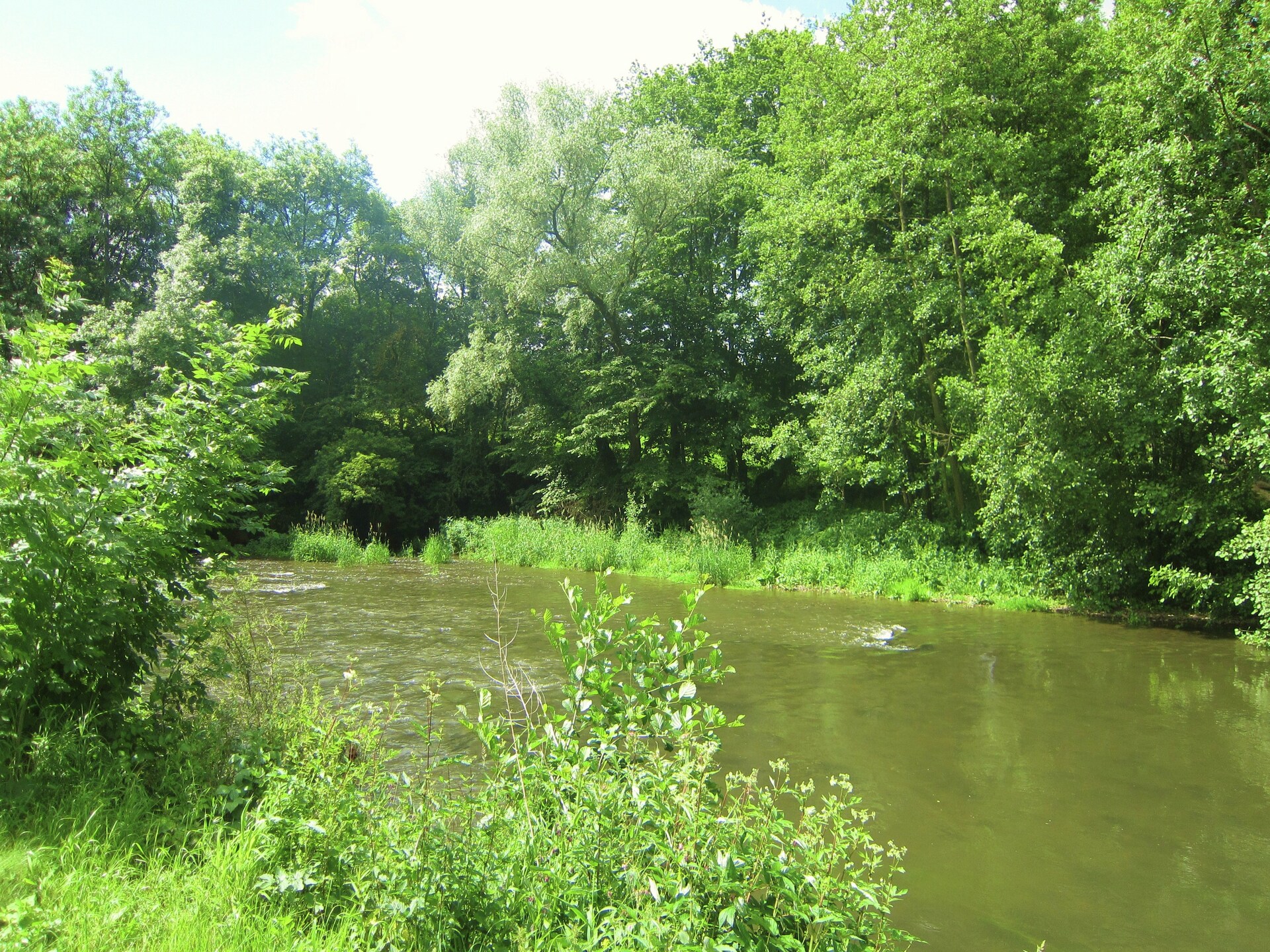Knus 6-persoons vakantiehuis in de vallei van Viroin, Treignes - foto 30