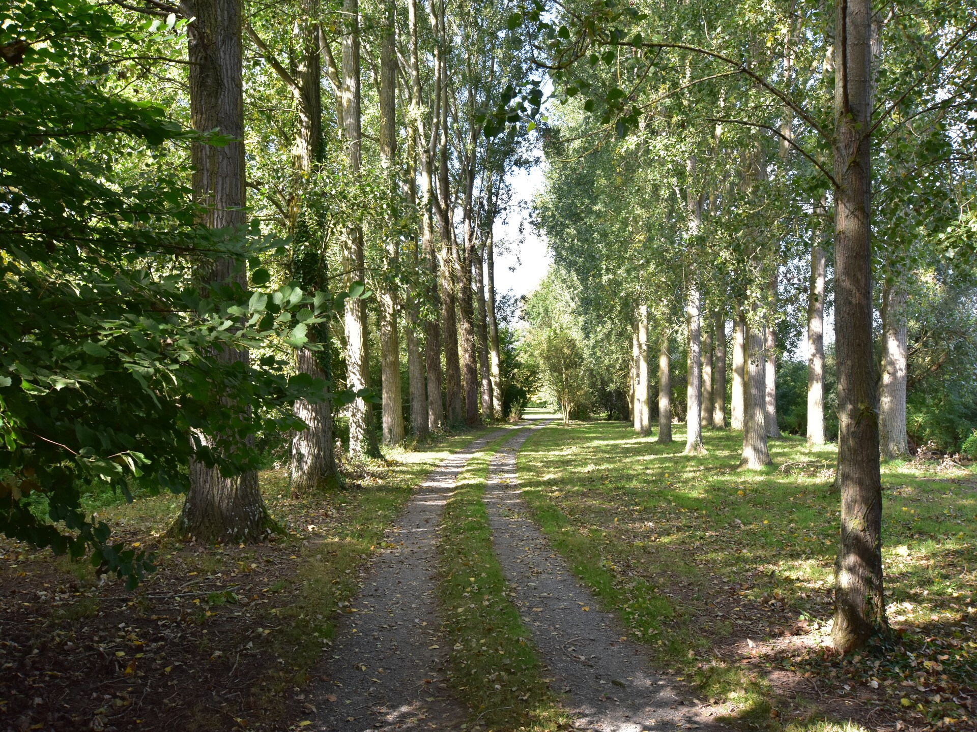 Stijlvol vrijstaand vakantiehuis bij Saint-Omer met sauna, bubbelbad en vijver - foto 29
