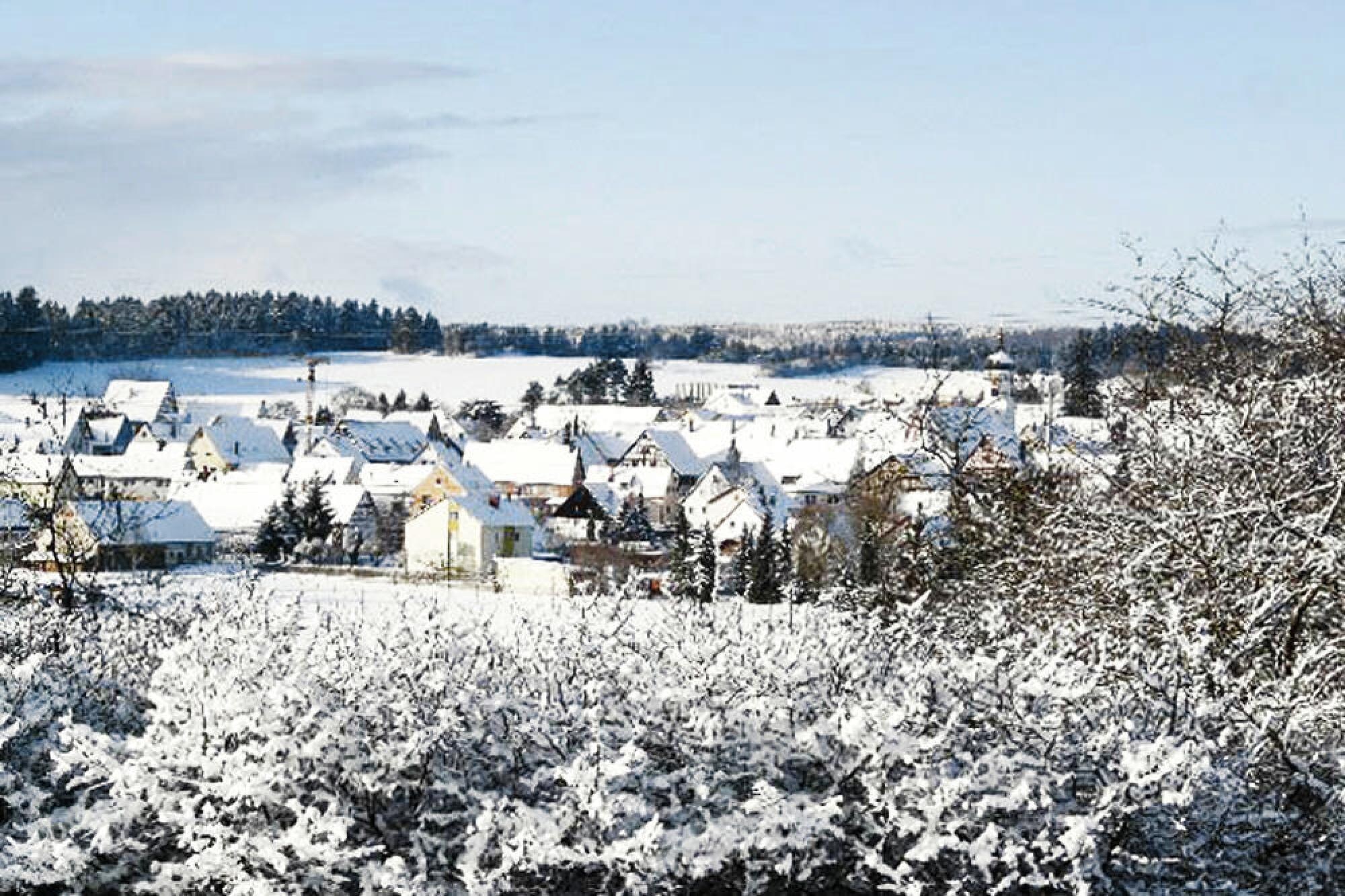 Vakantiehuis Ferienpark Lauterdörfle -Typ D Neckar 6 Pers