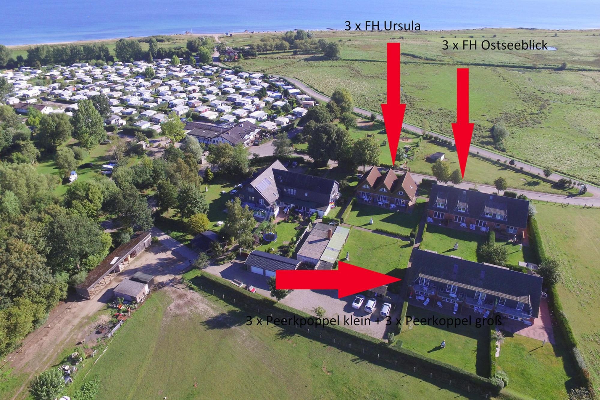 Ferienwohnung 2-Raum-App EG Terrasse Peerkoppel klein 40 qm