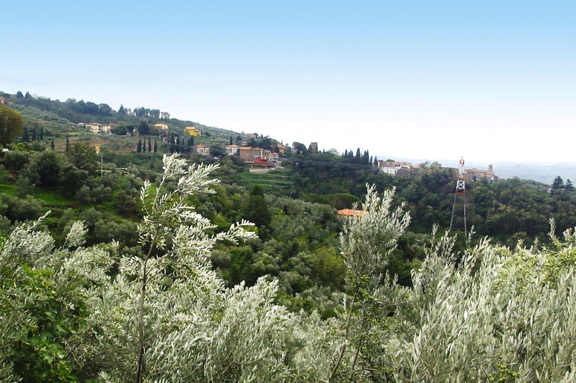 Apartment Appartements Villa Morosi Lamporecchio Typ A biloc