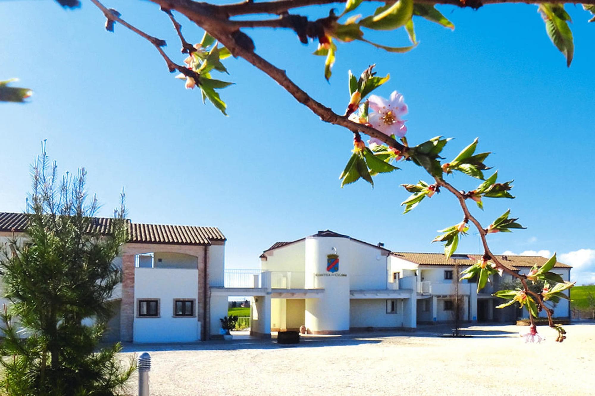 公寓 Holiday resort Contea dei Ciliegi Pedaso Typ Bilo